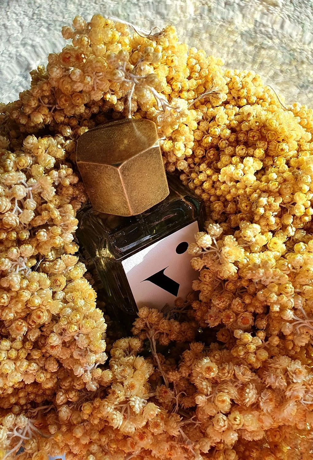 Voyages Imaginaires L'Eau des Immortels