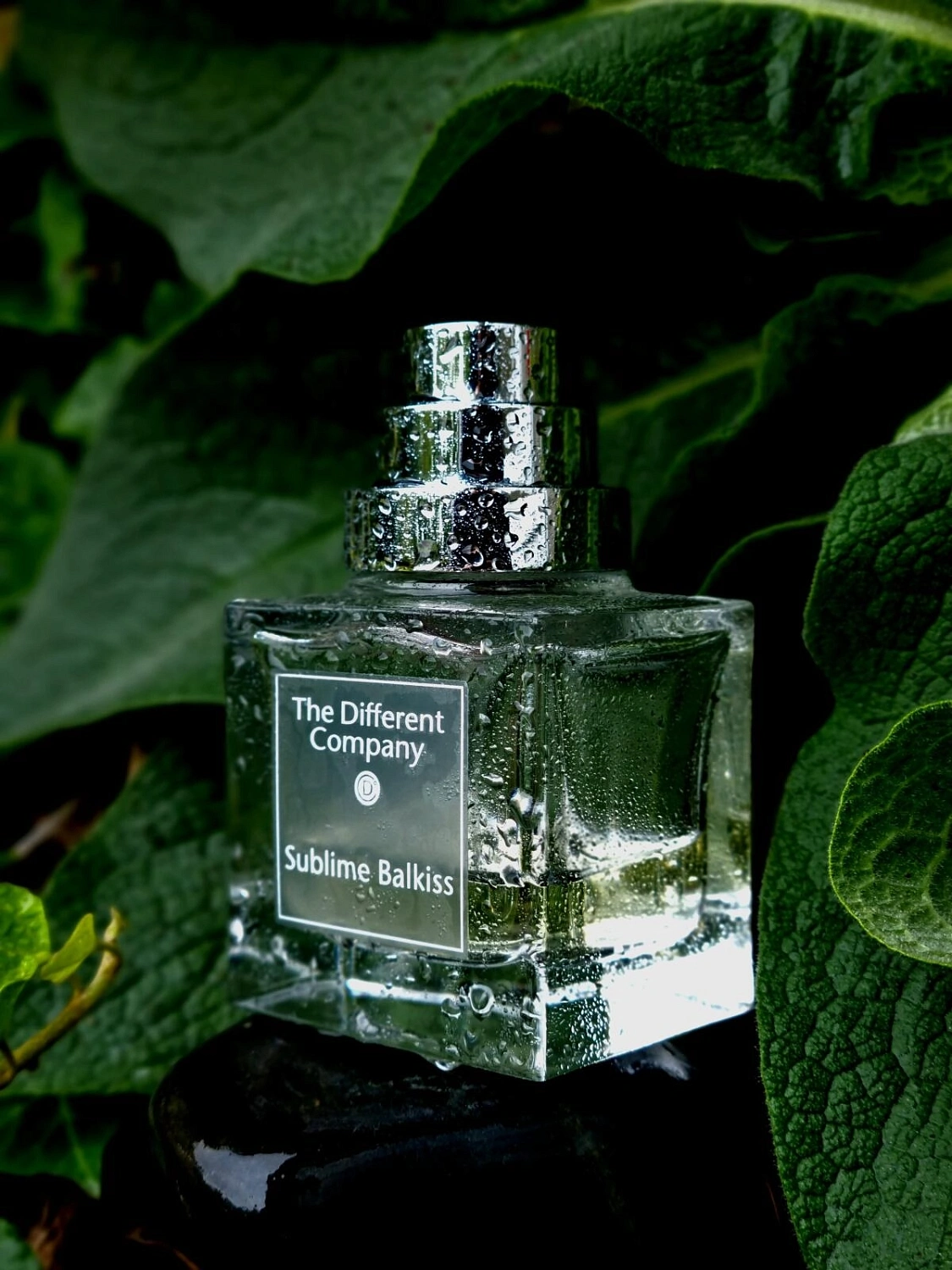 The Different Company Sublime Balkiss The Different Company Sublime Balkiss