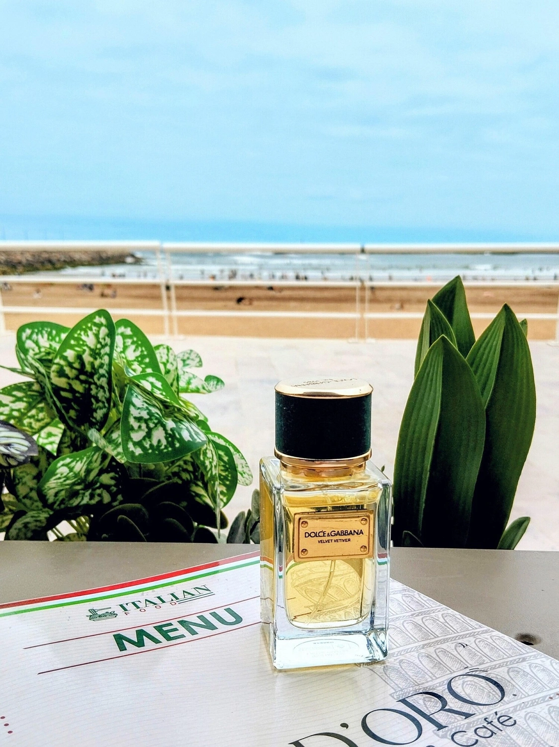 Dolce & Gabbana Velvet Vetiver