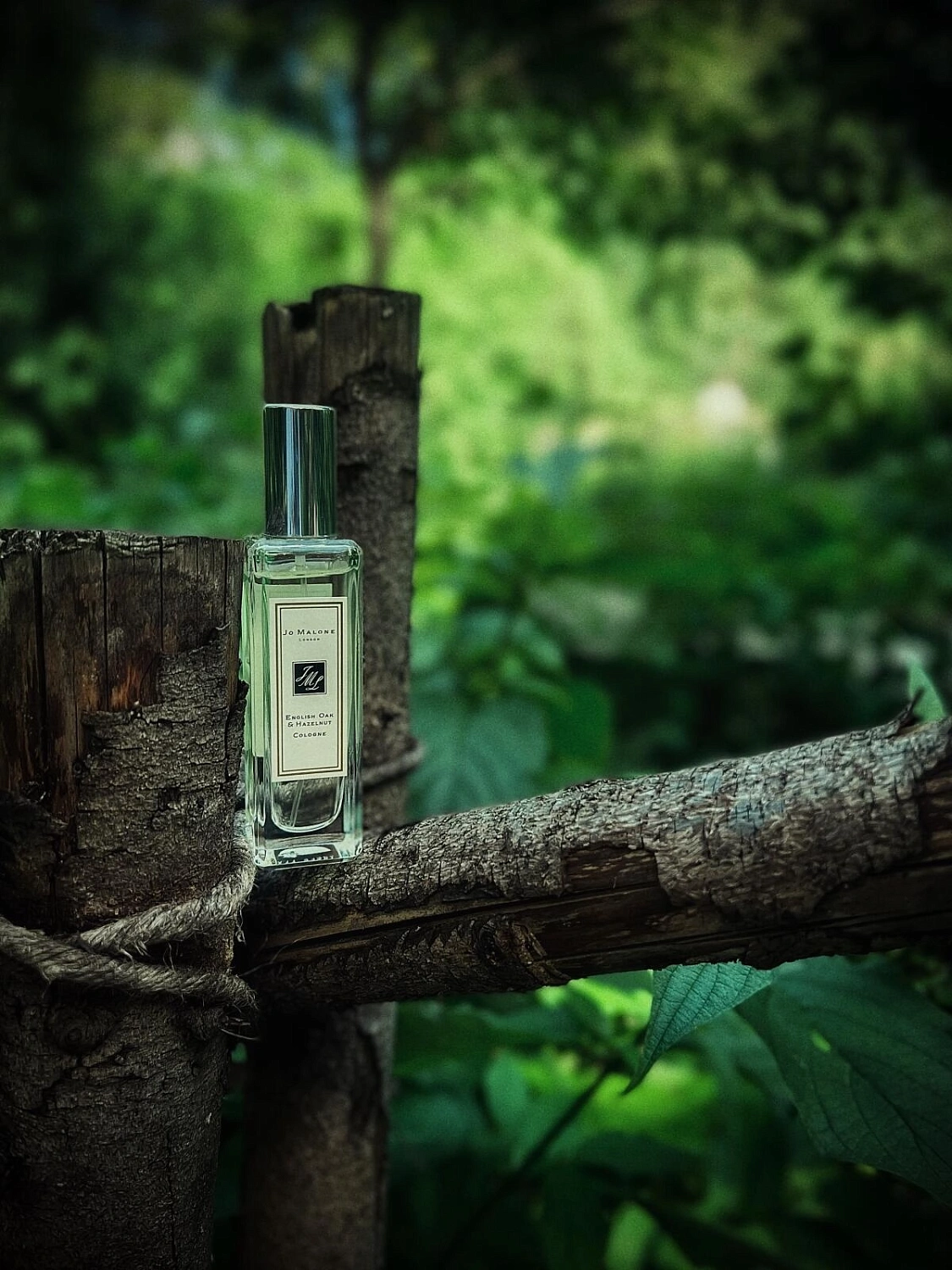 Jo Malone English Oak & Hazelnut Jo Malone English Oak & Hazelnut