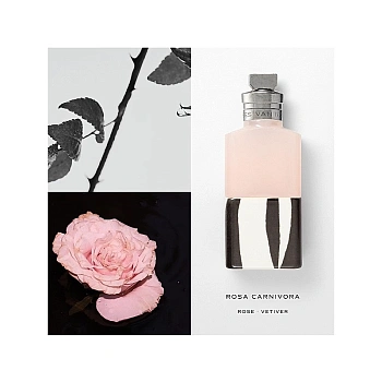 Фото Dries Van Noten Rosa Carnivora
