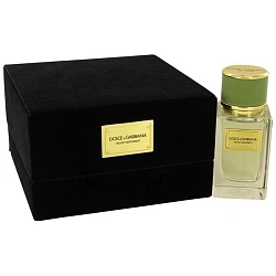 Dolce & Gabbana Velvet Bergamot