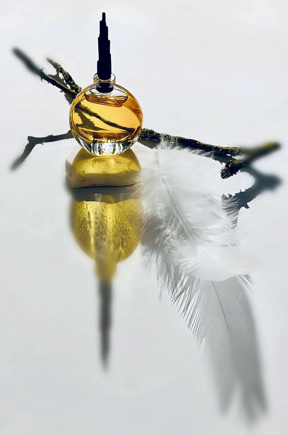 Cerruti 1881 Nino Cerruti Pour Femme