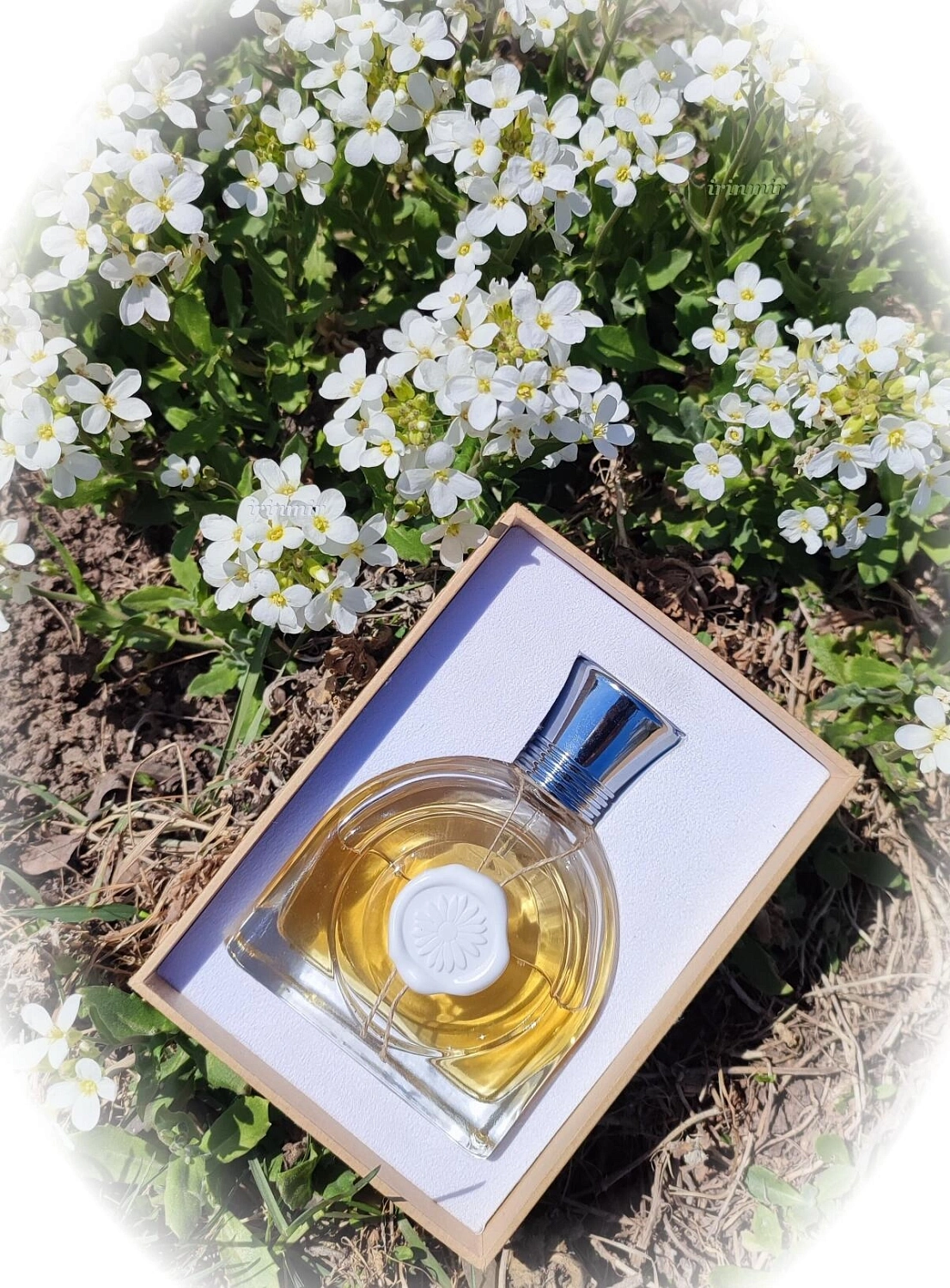 M. Micallef Fleur de Lune