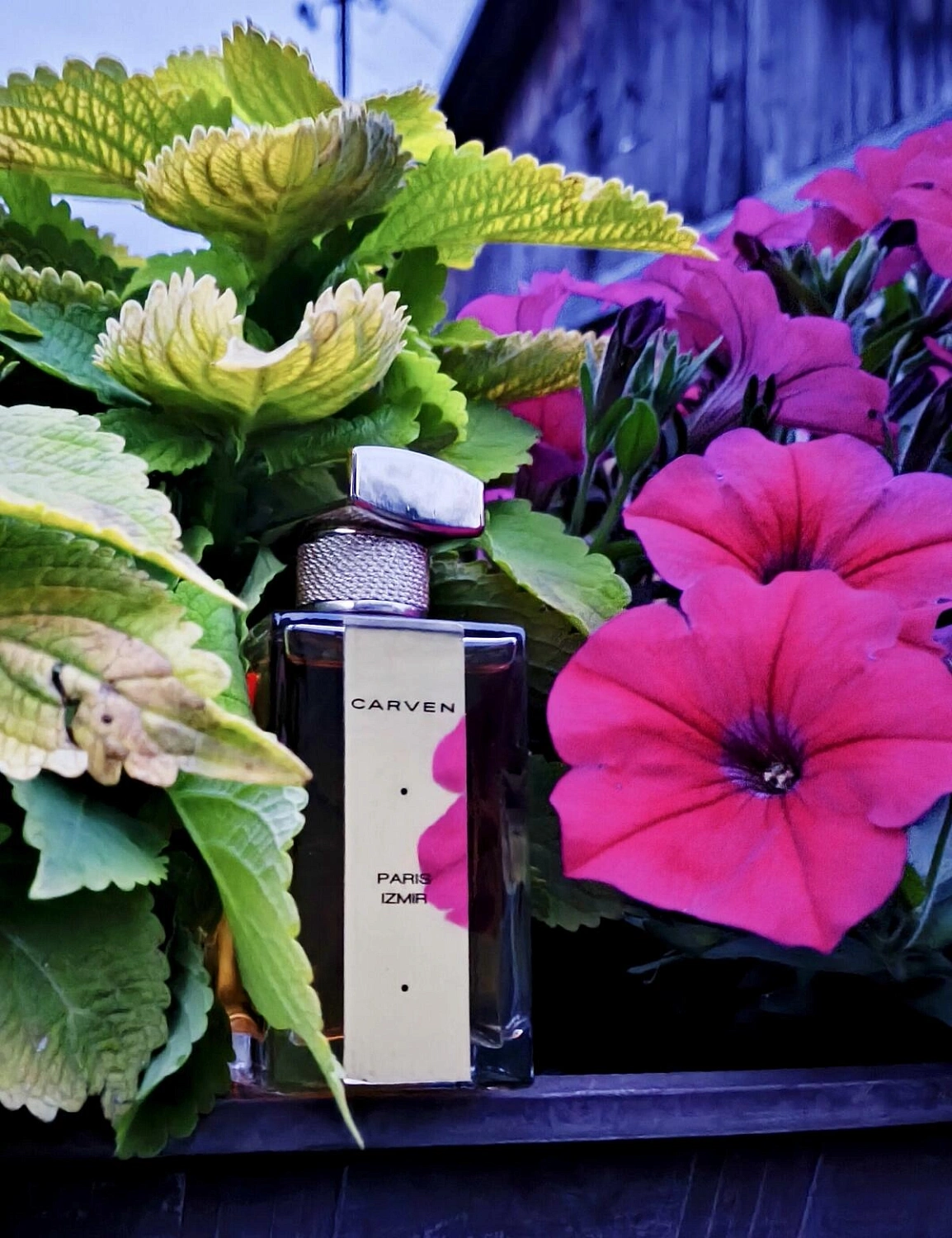 Carven Izmir