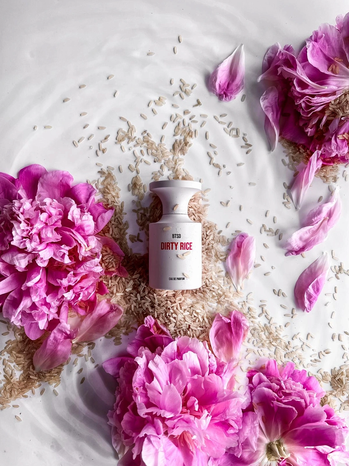 Borntostandout Dirty Rice