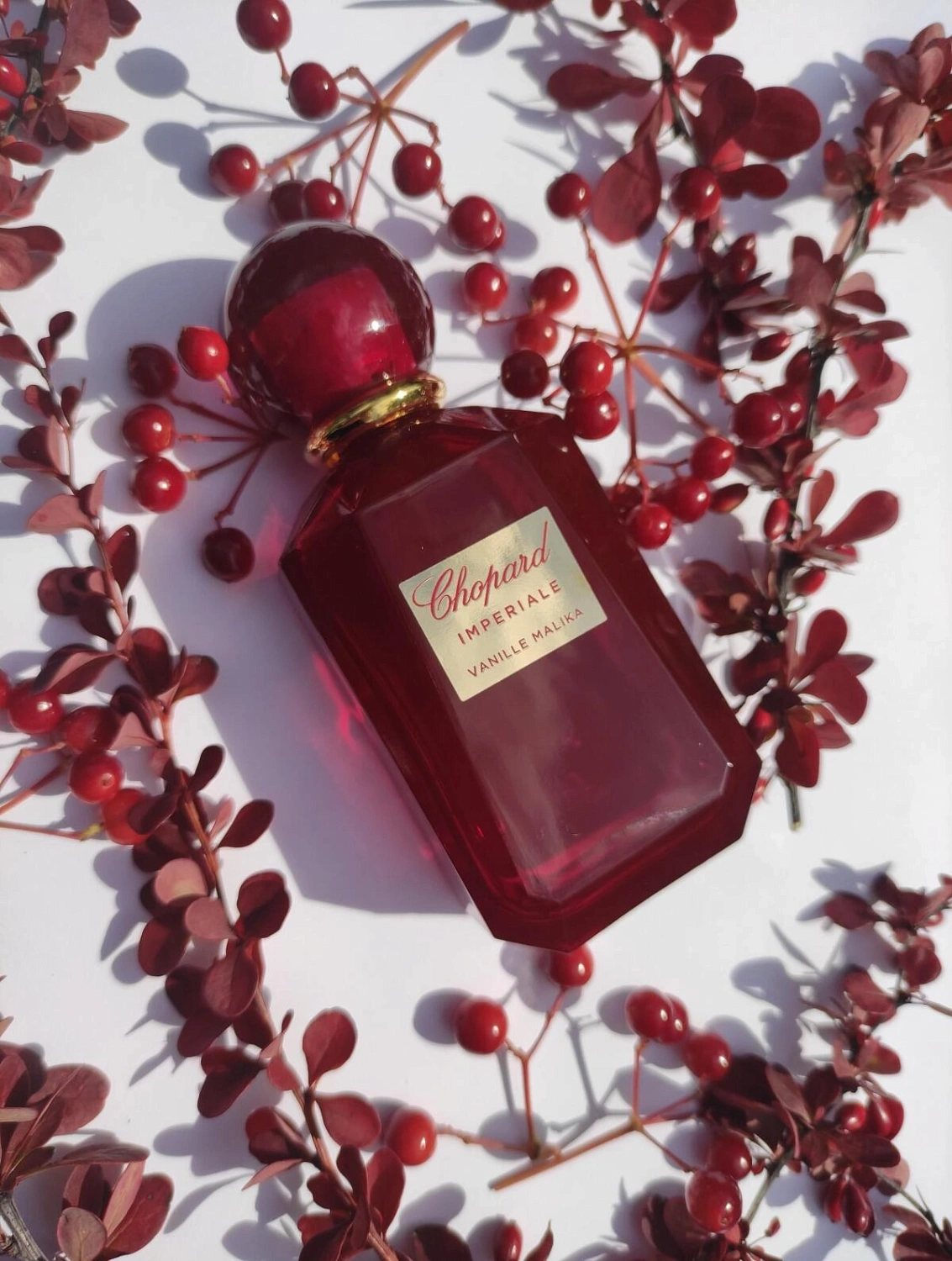 Chopard Vanille Malika