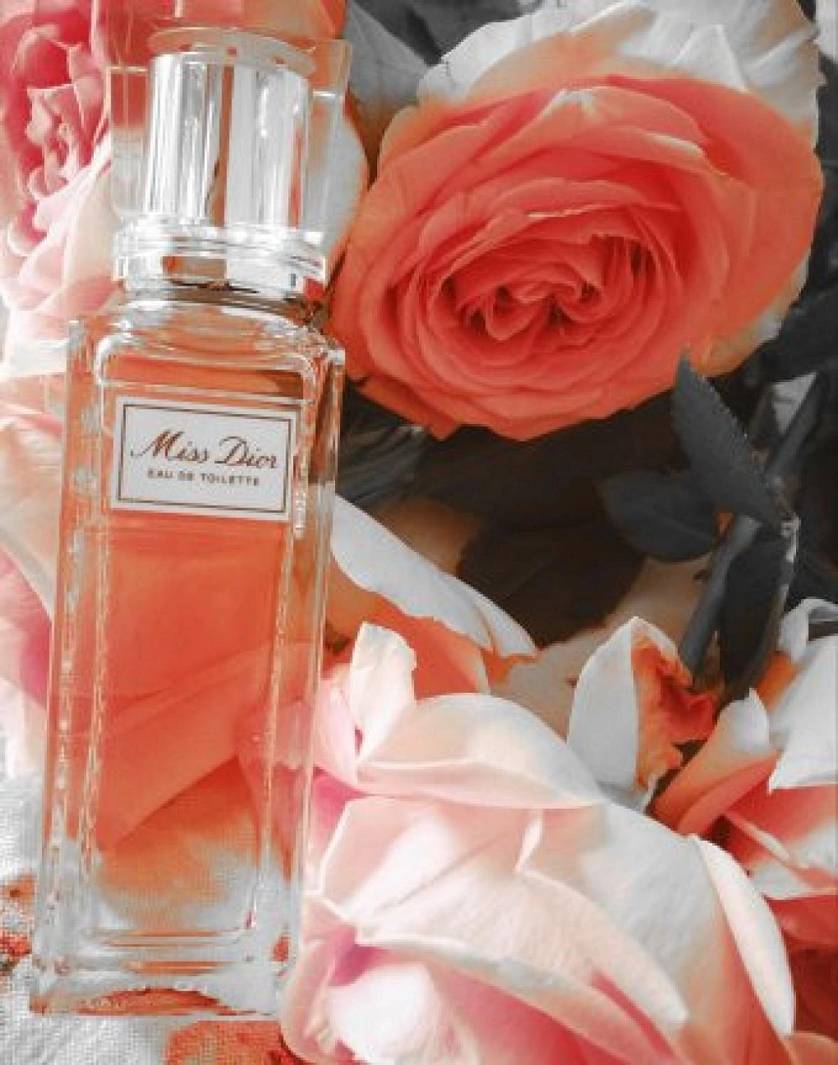 Christian Dior Miss Dior Eau de Toilette Roller Pearl 2019 Christian Dior Miss Dior Eau de Toilette Roller Pearl 2019