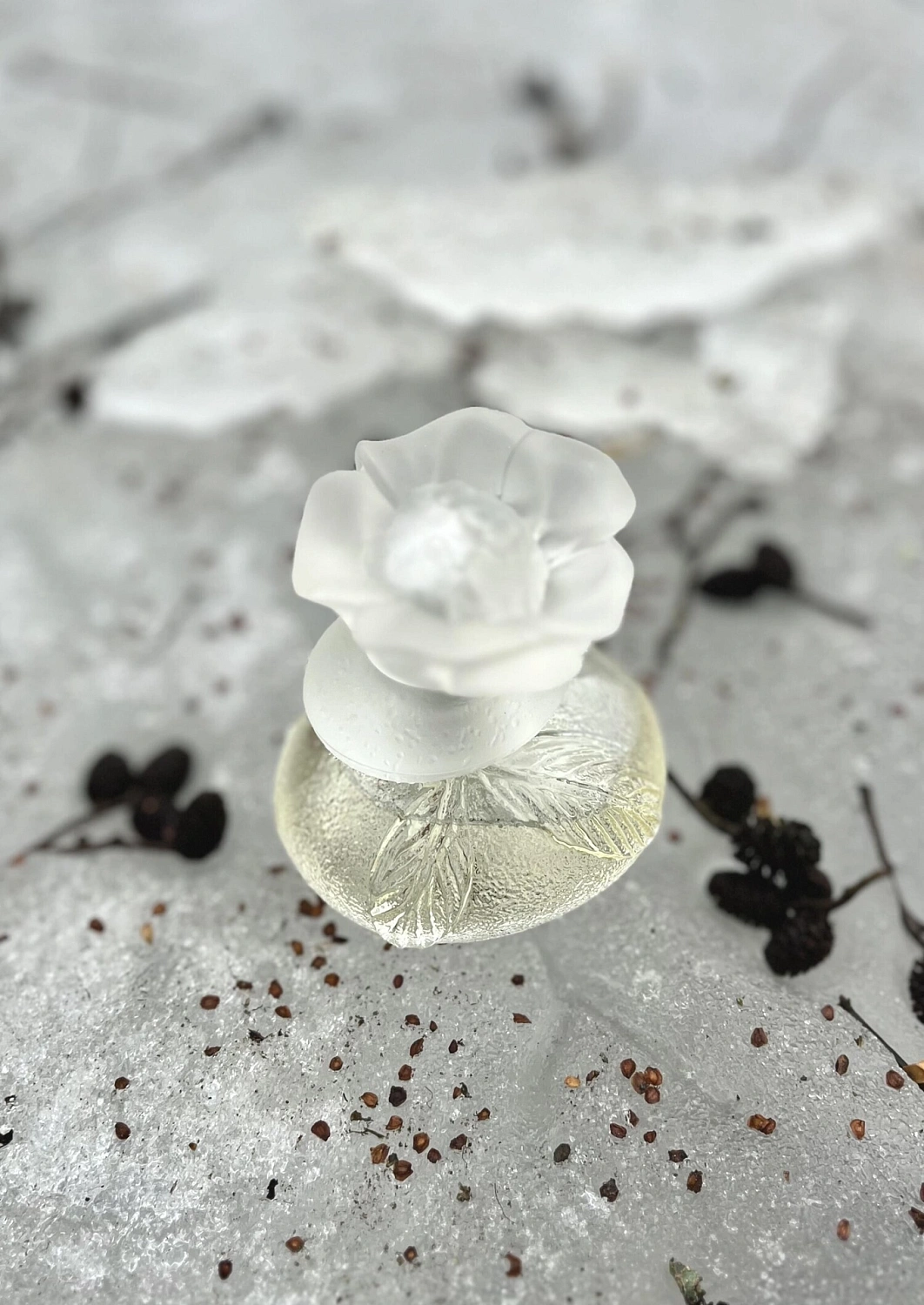 Kenzo Le Monde Est Beau