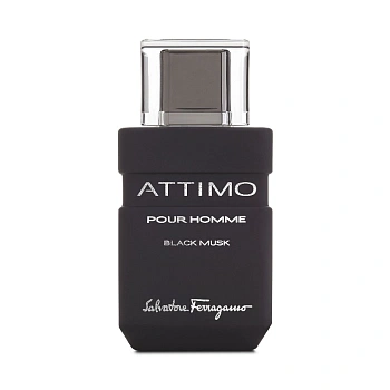 Фото Salvatore Ferragamo Attimo Black Musk Pour Homme