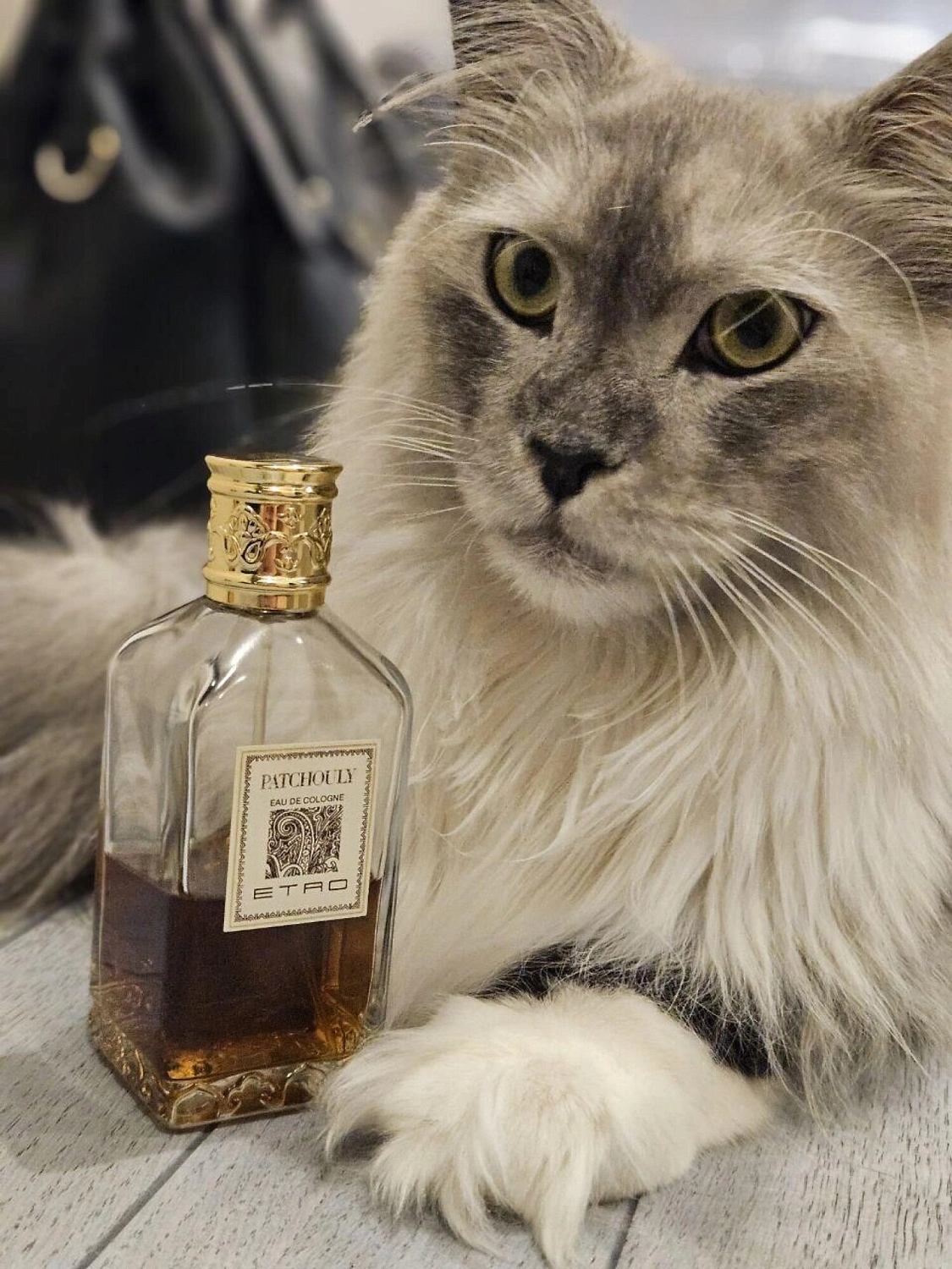 Etro Patchouly