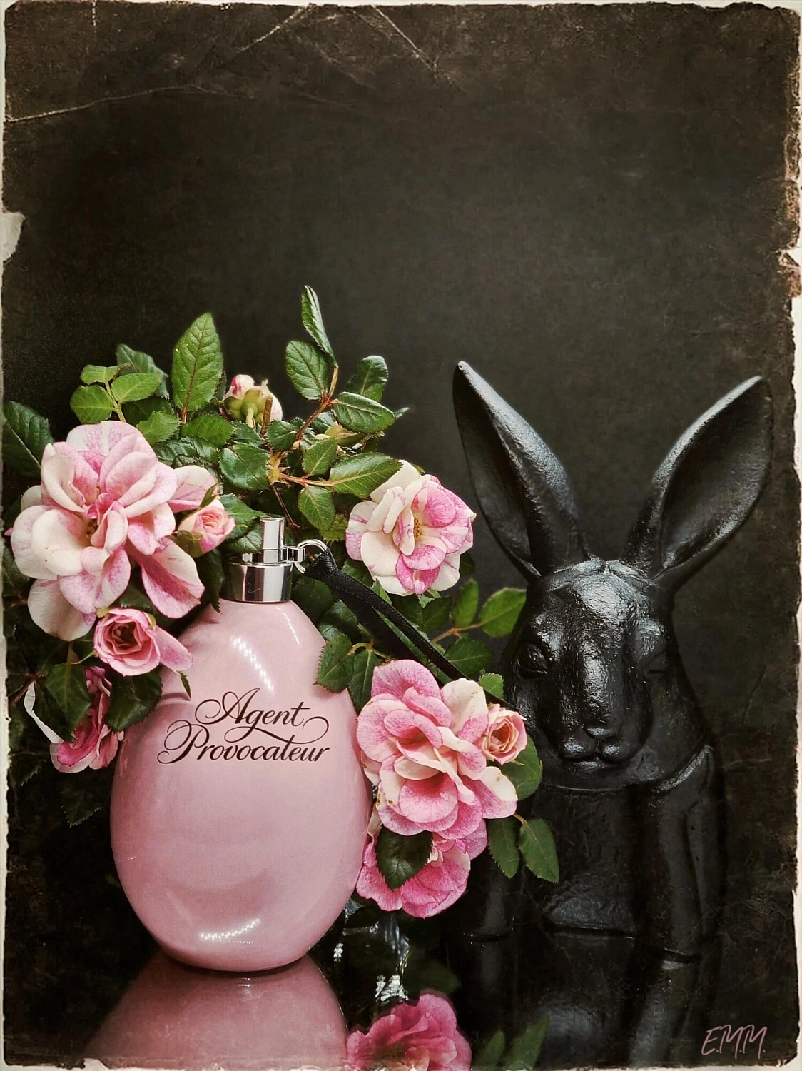 Agent Provocateur