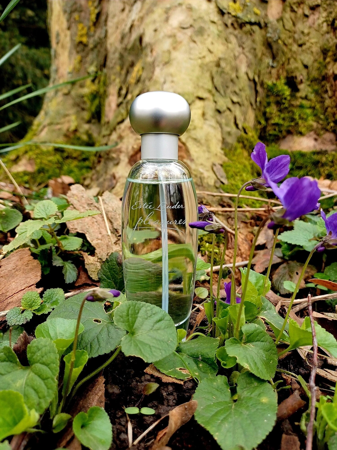 Estée Lauder Pleasures