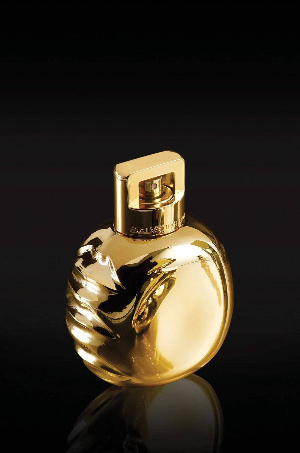 Salvador Dali Fabulous Mandawa