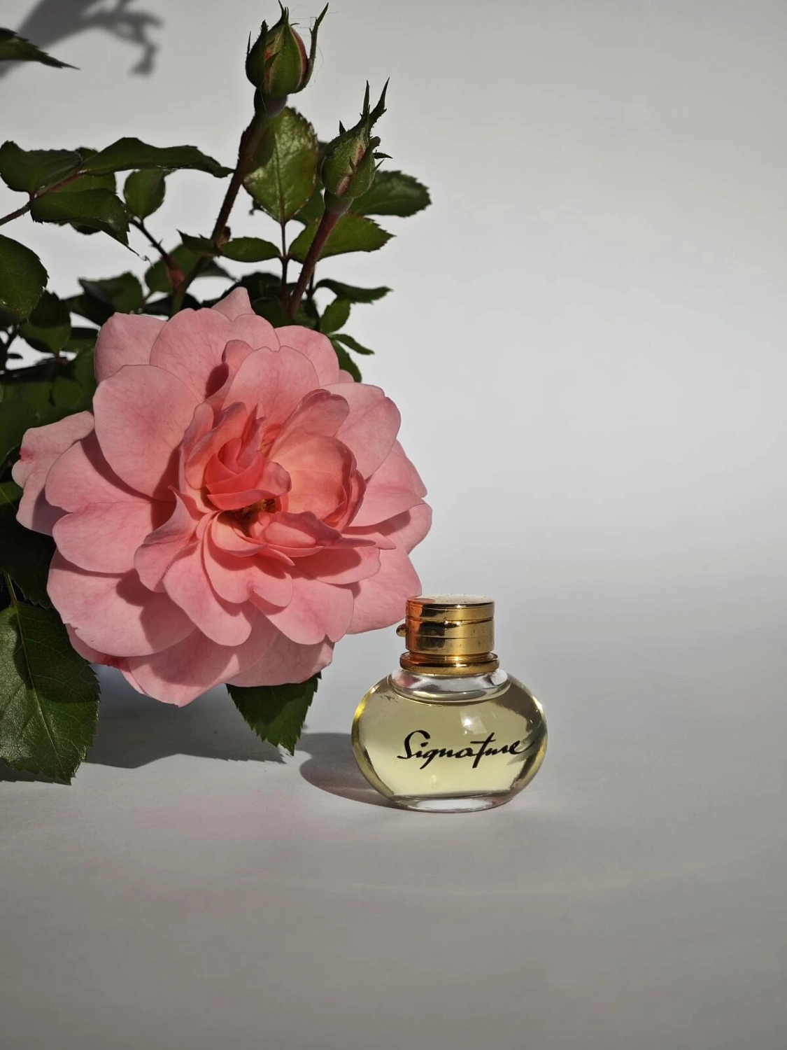 S.T.Dupont Signature