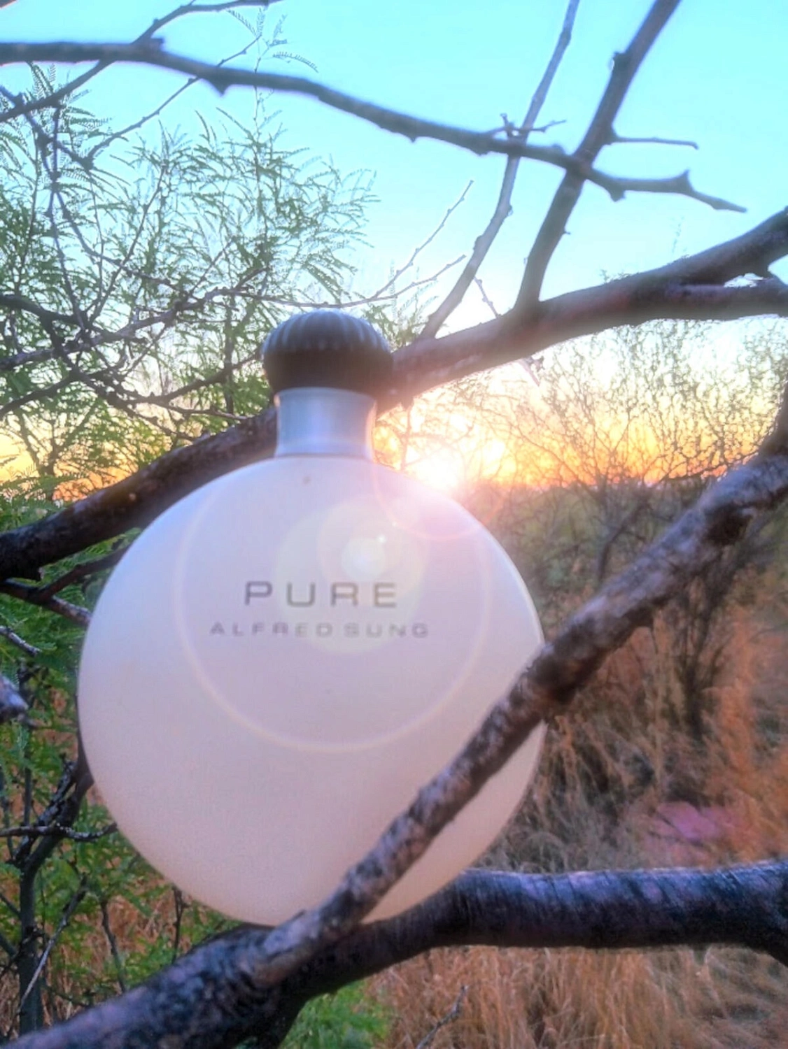 Alfred Sung Pure Alfred Sung Pure