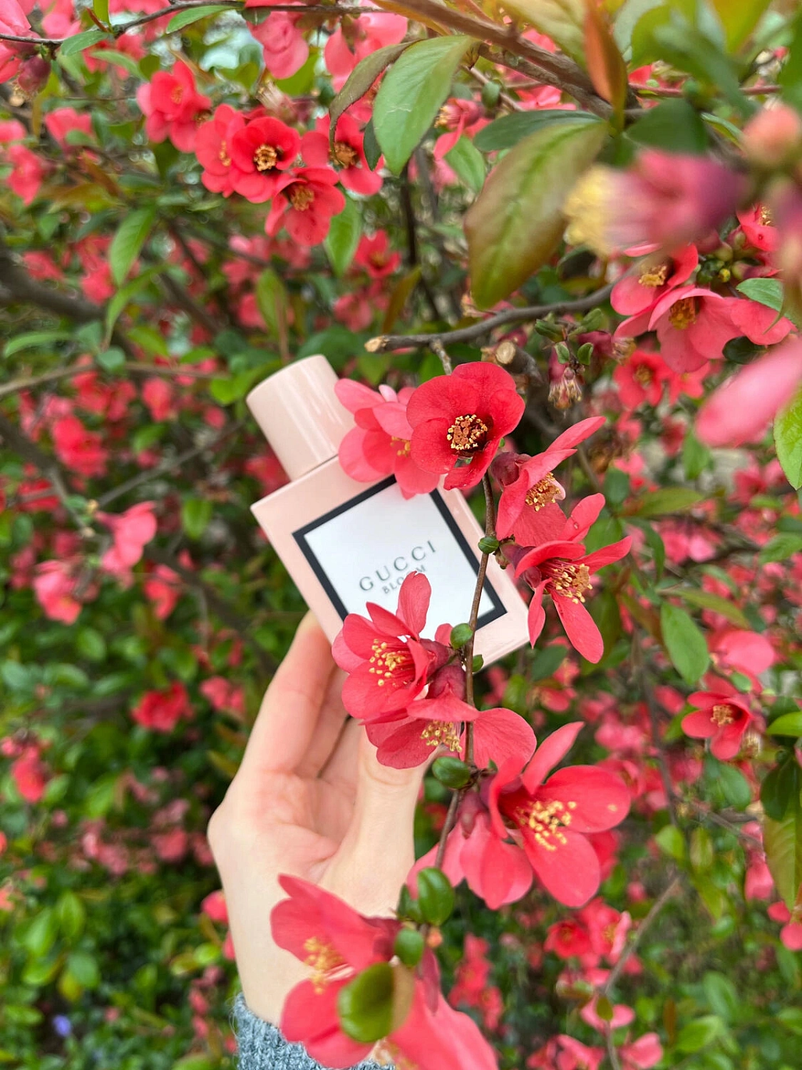 GUCCI Bloom GUCCI Bloom