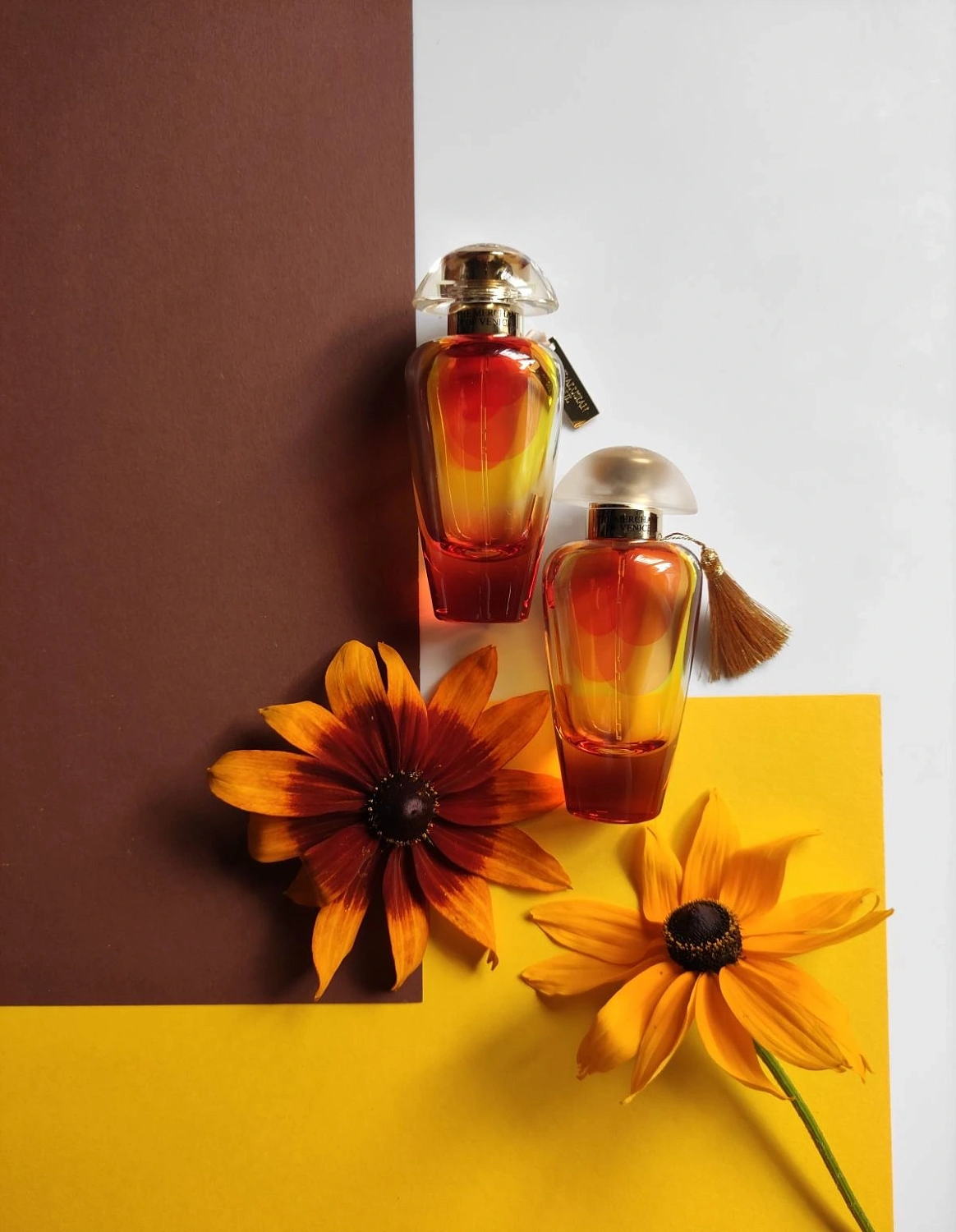 The Merchant of Venice Noble Potion