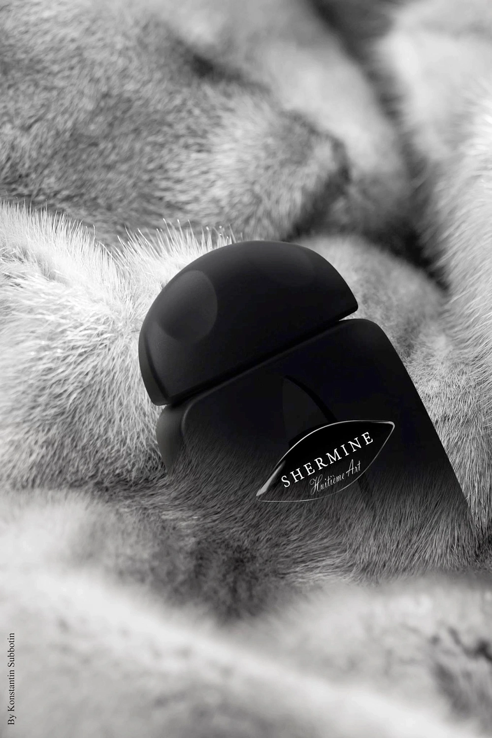 Pierre Guillaume Shermine