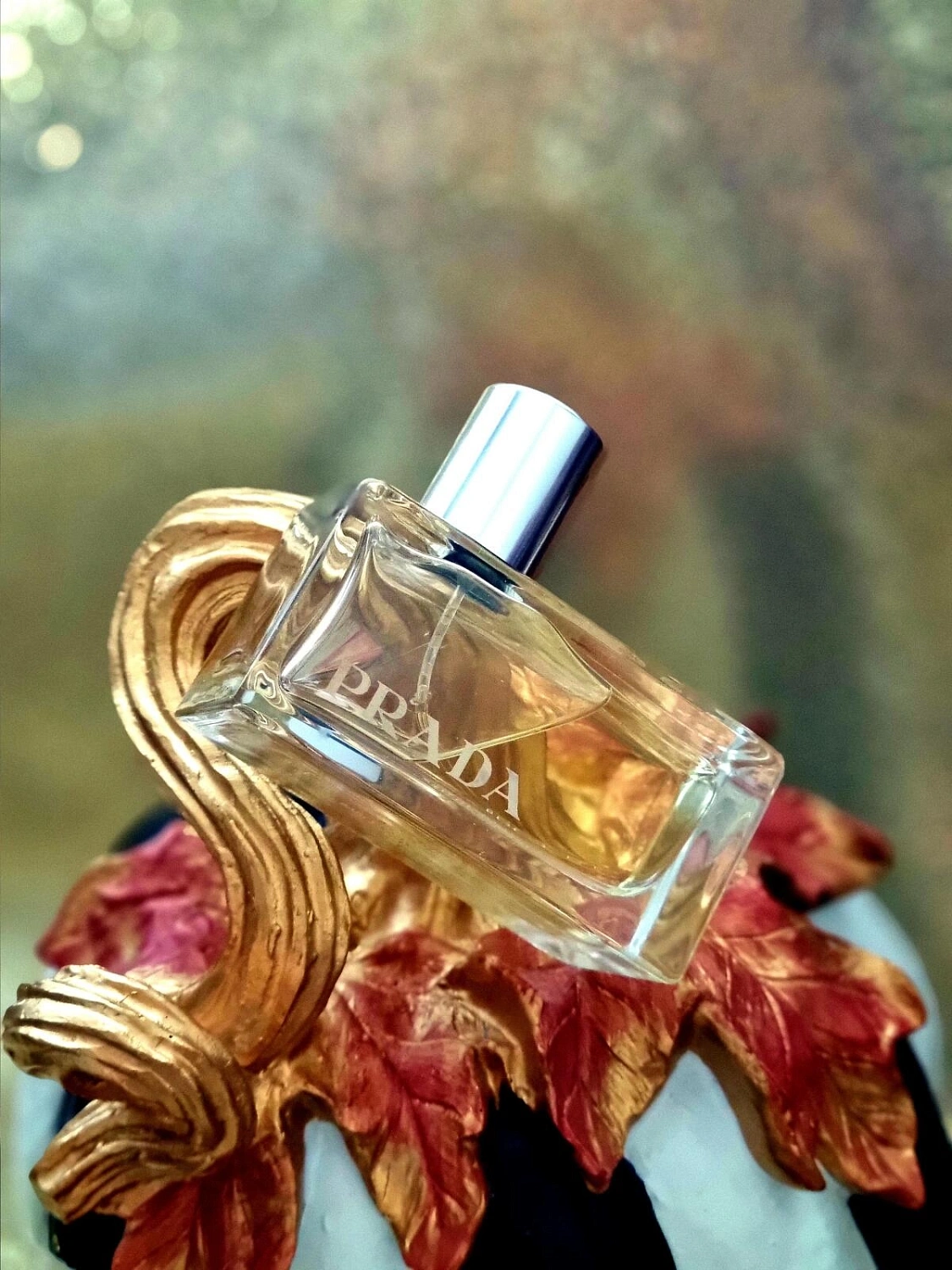 Prada Amber