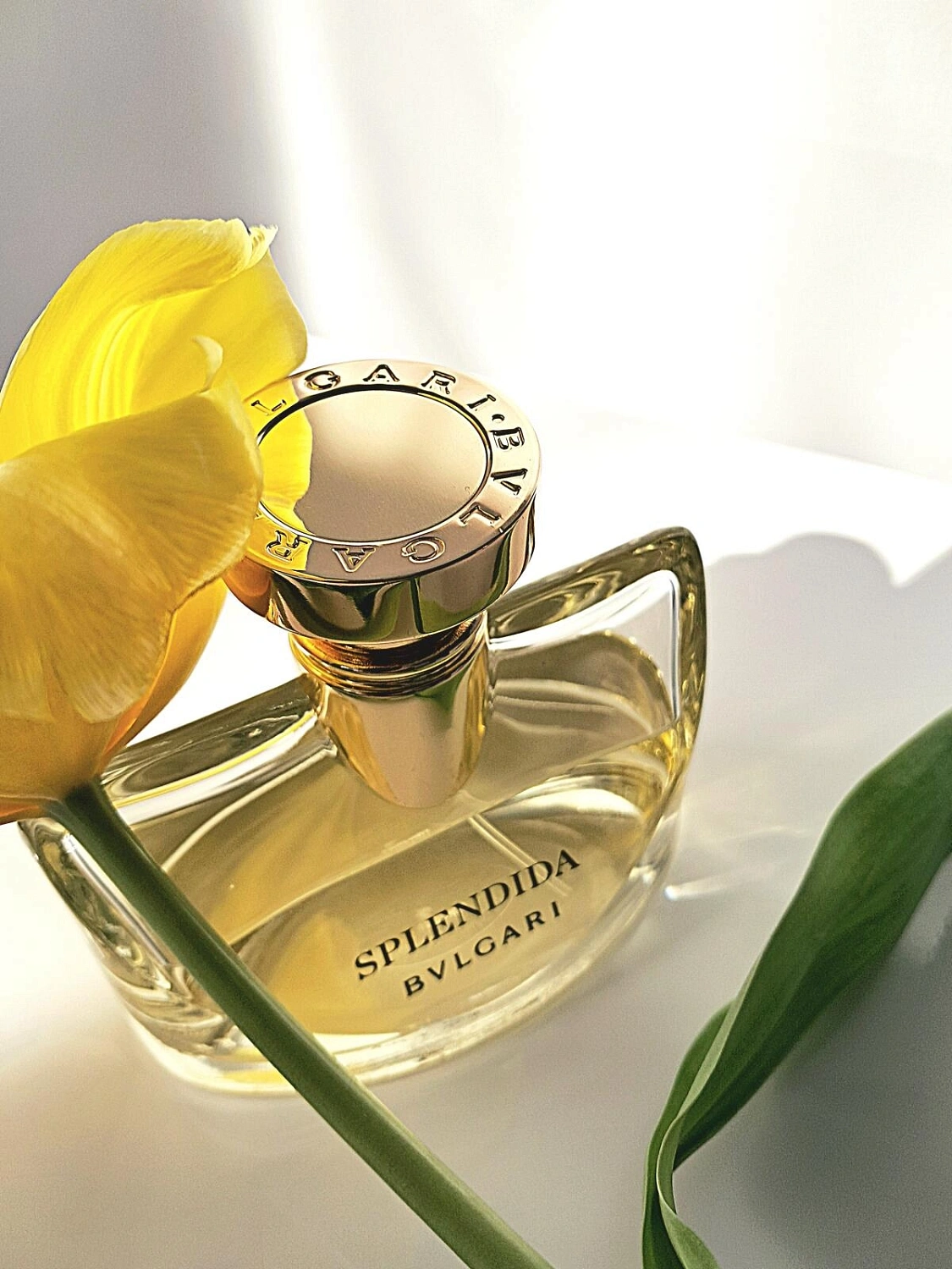 BVLGARI Splendida Iris d’Or