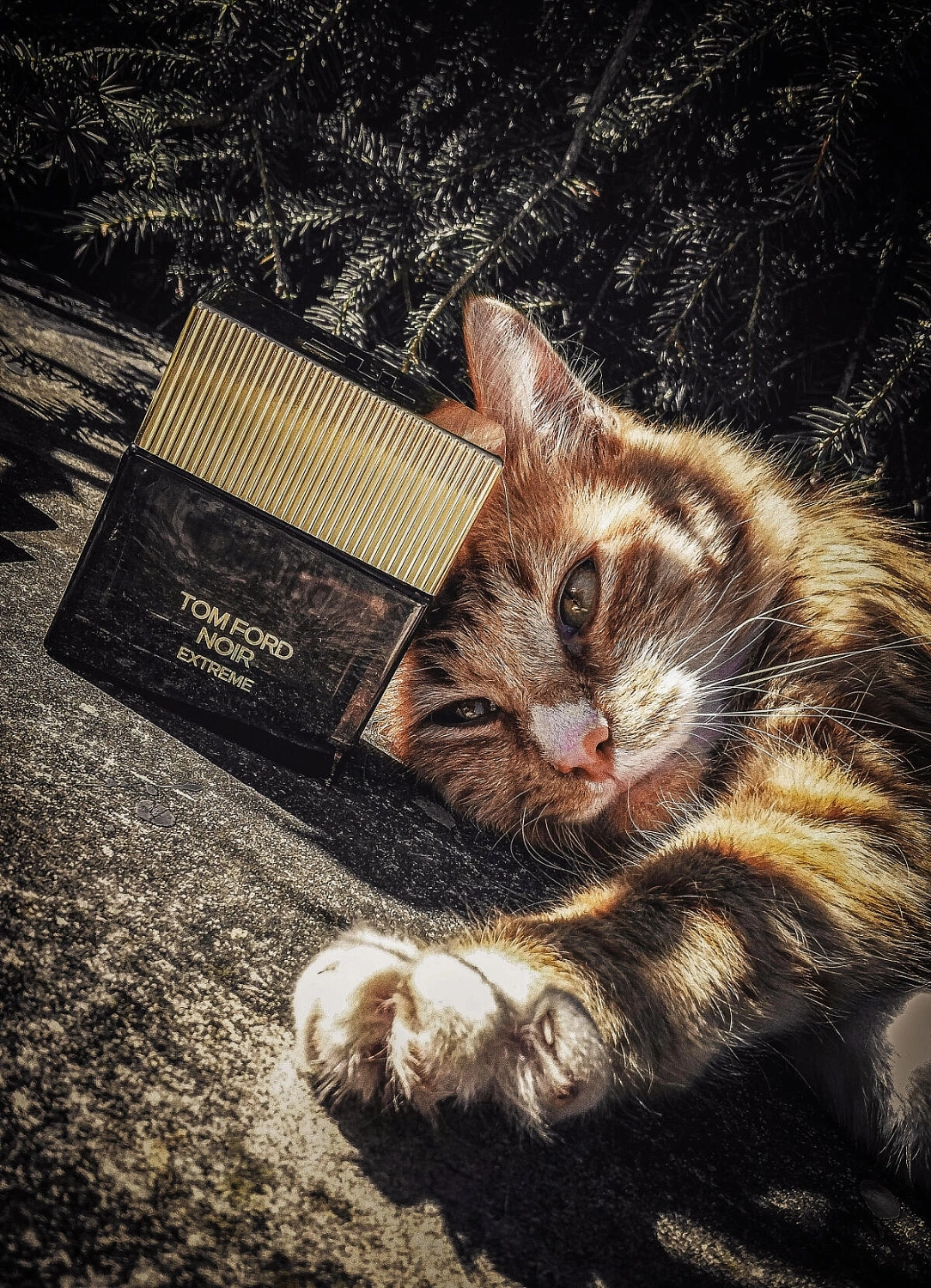 Tom Ford Noir Extreme