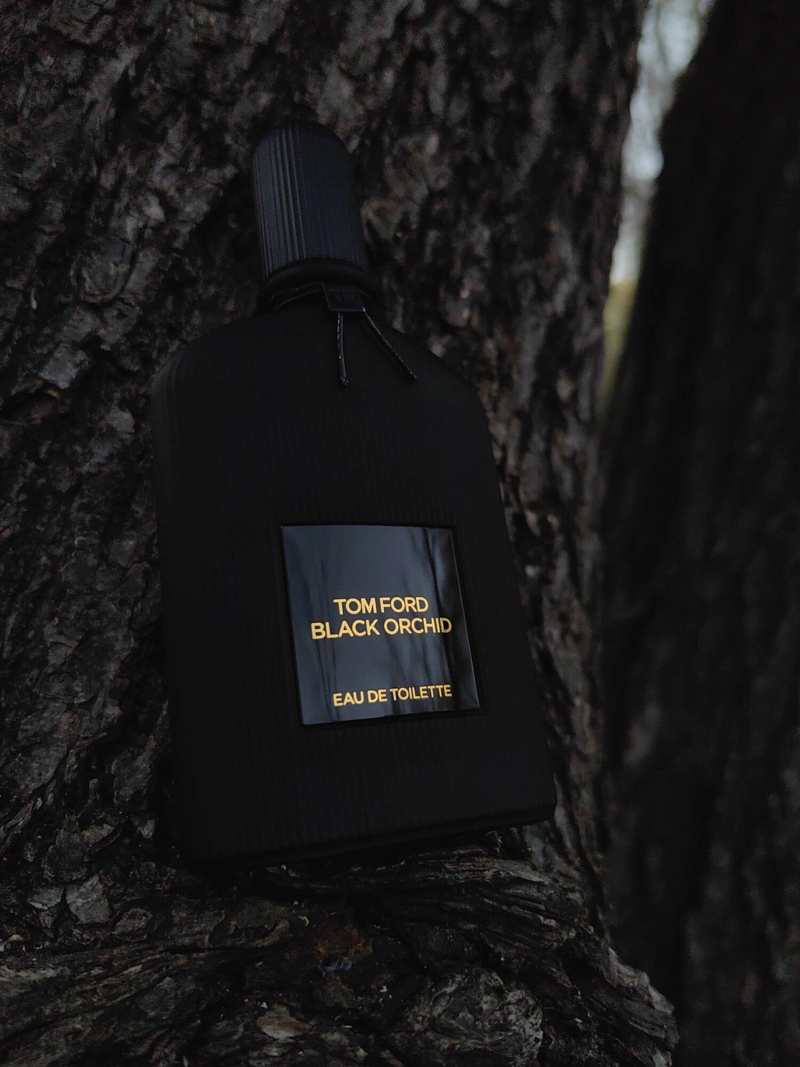 Tom Ford Black Orchid Eau de Toilette