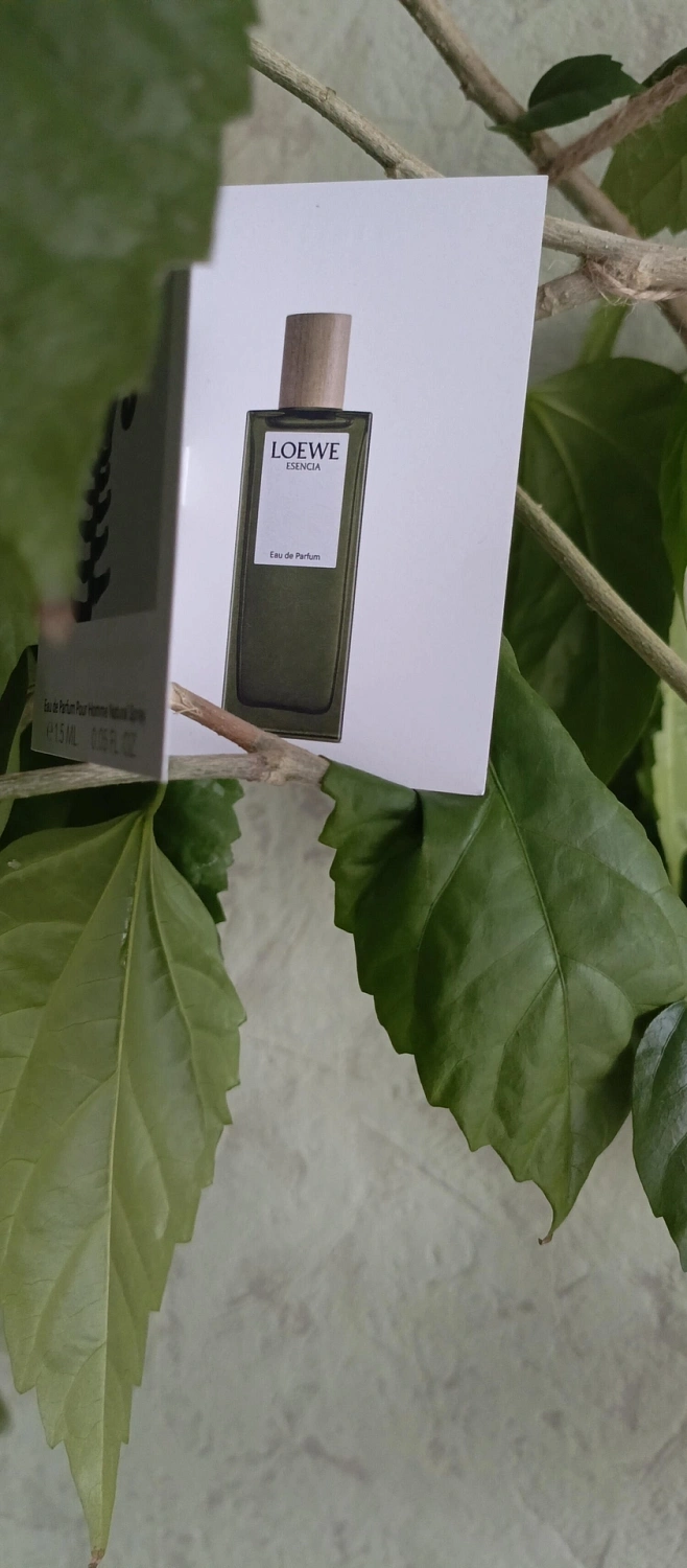 Loewe Esencia pour Homme Eau de Parfum