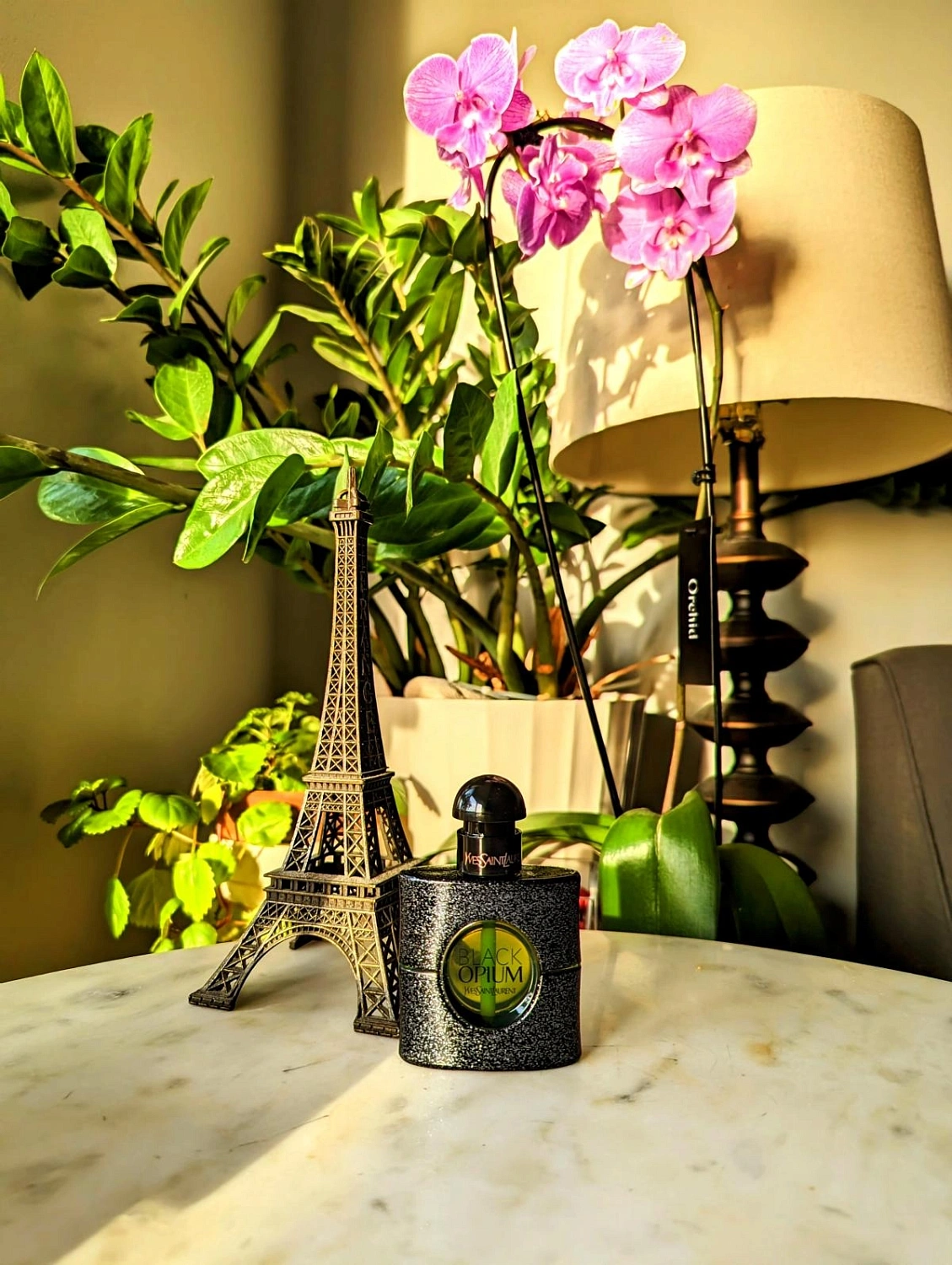 Yves Saint Laurent Black Opium Illicit Green