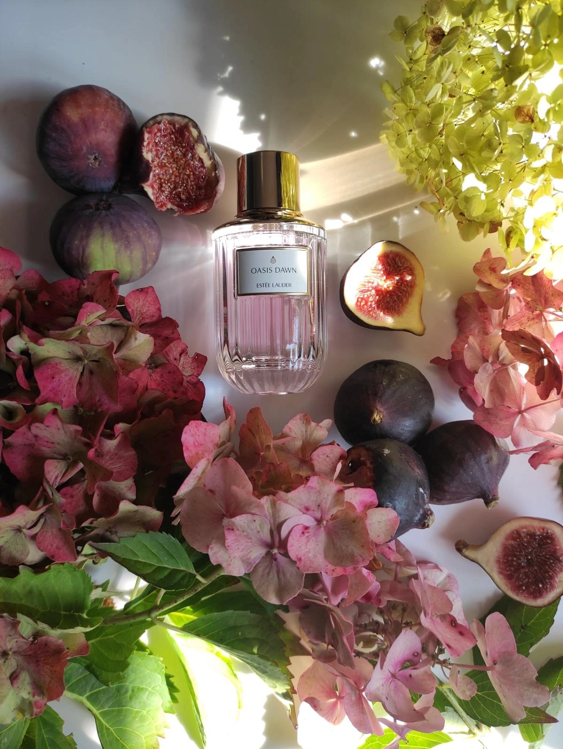 Estee Lauder Oasis Dawn Estee Lauder Oasis Dawn