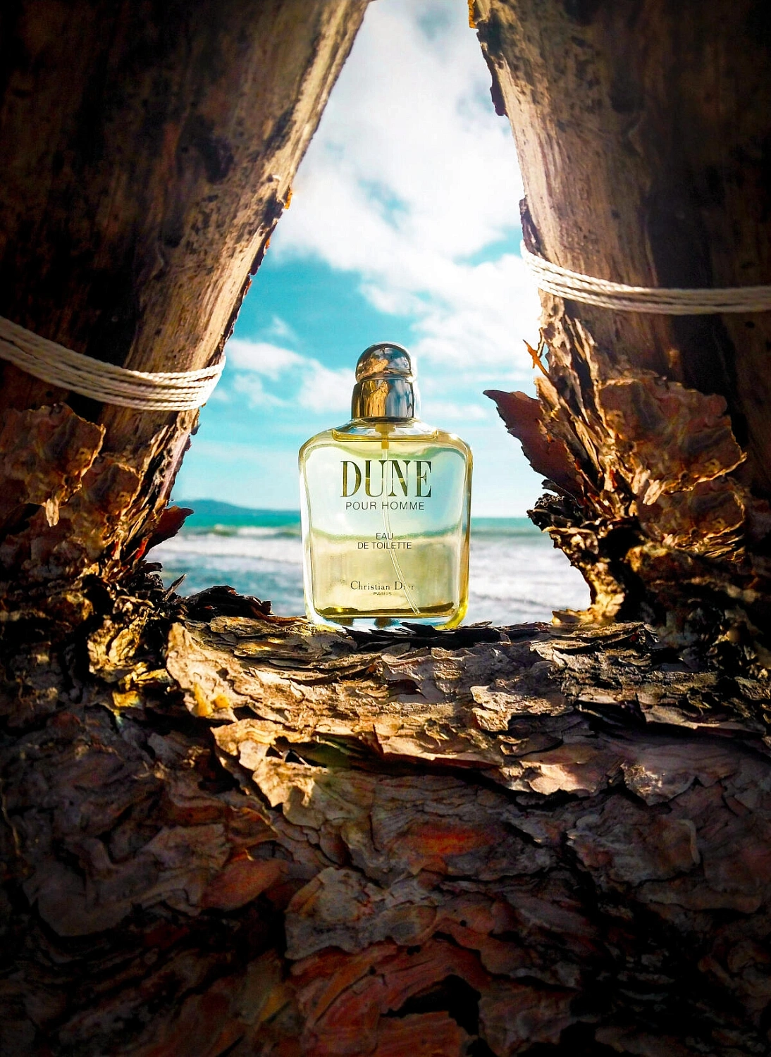 Christian Dior Dune For Men