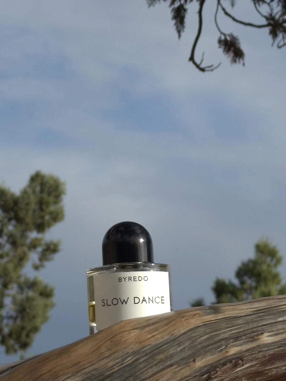 BYREDO Slow Dance