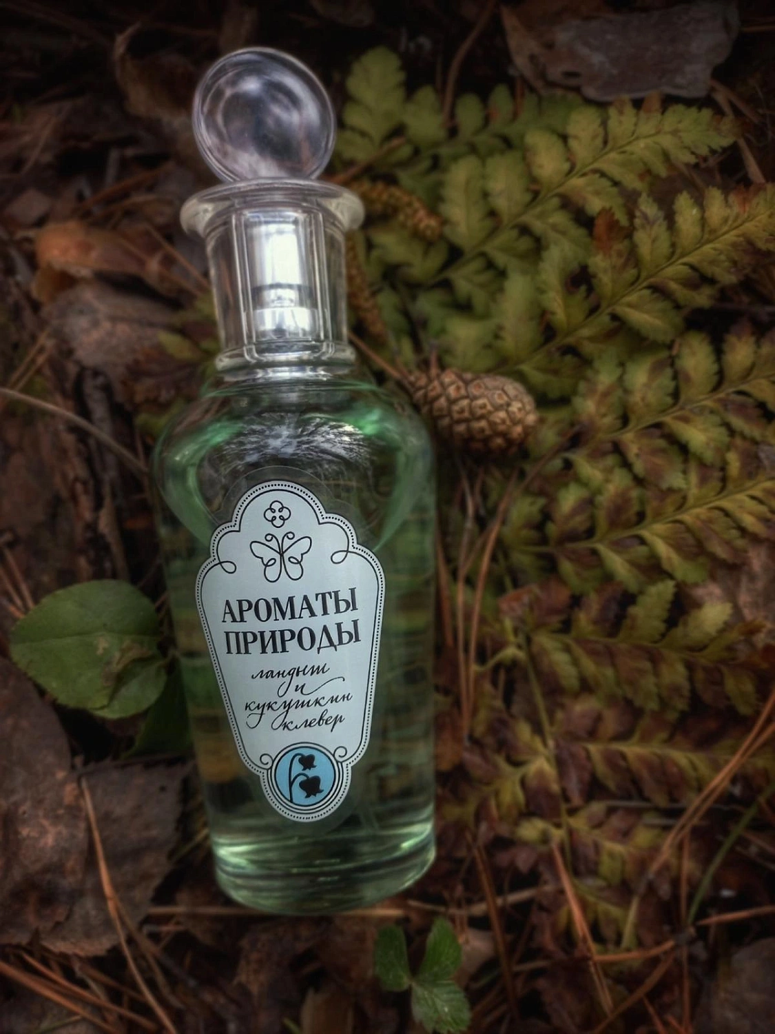 Brocard Ландыш и Кукушкин клевер