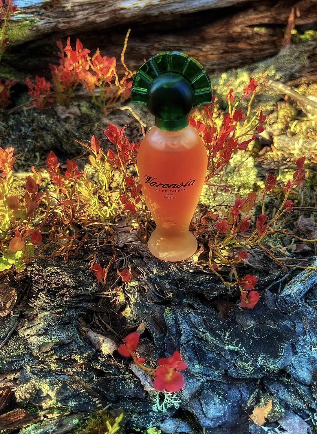 Ulric de Varens Varensia