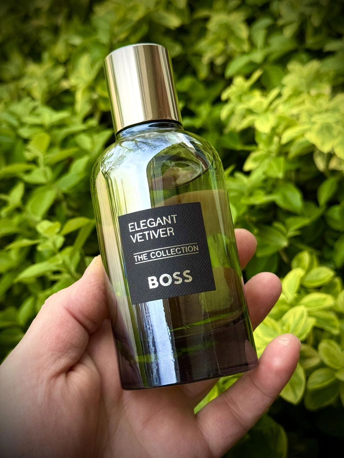 Hugo Boss The Collection Elegant Vetiver
