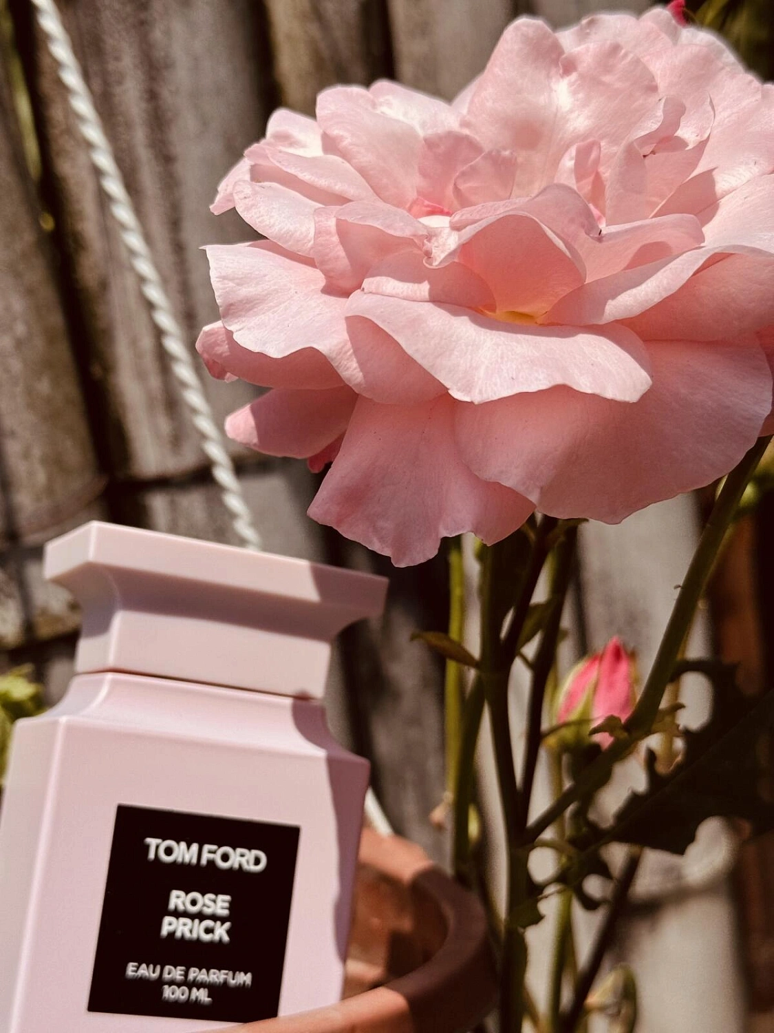 Tom Ford Rose Prick
