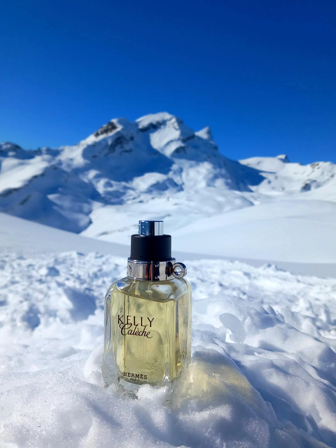 Hermes Kelly Caleche