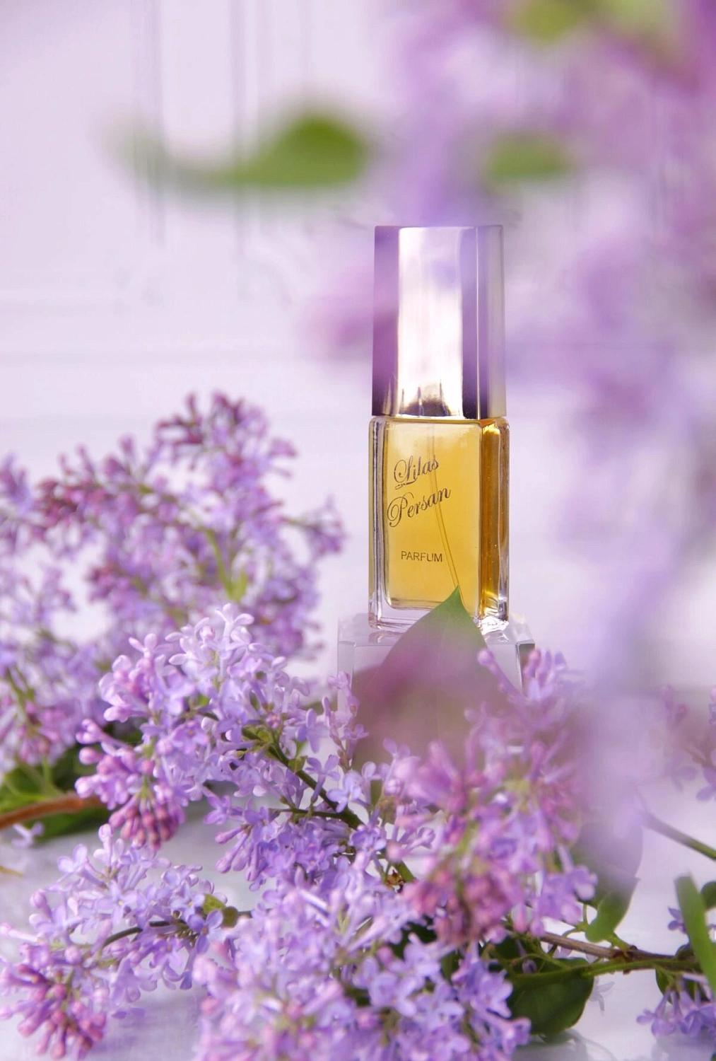 Novaya Zarya (Новая Заря) Персидская сирень (Lilas persan)