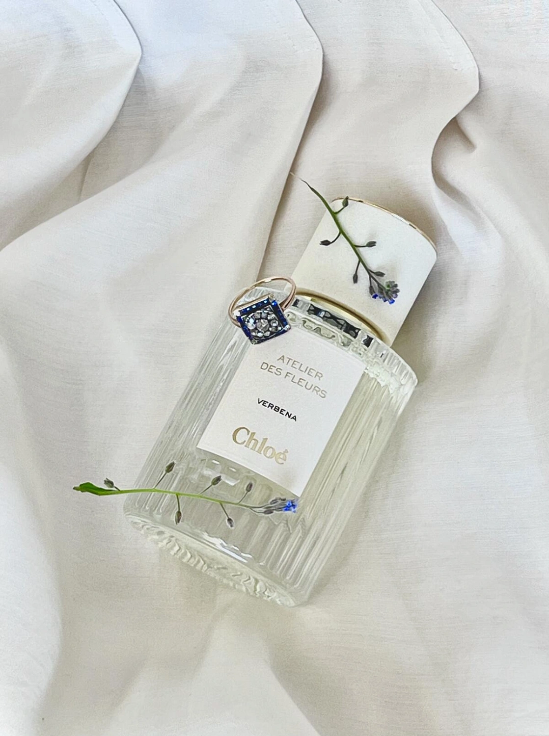 Chloe Atelier Des Fleurs Verbena