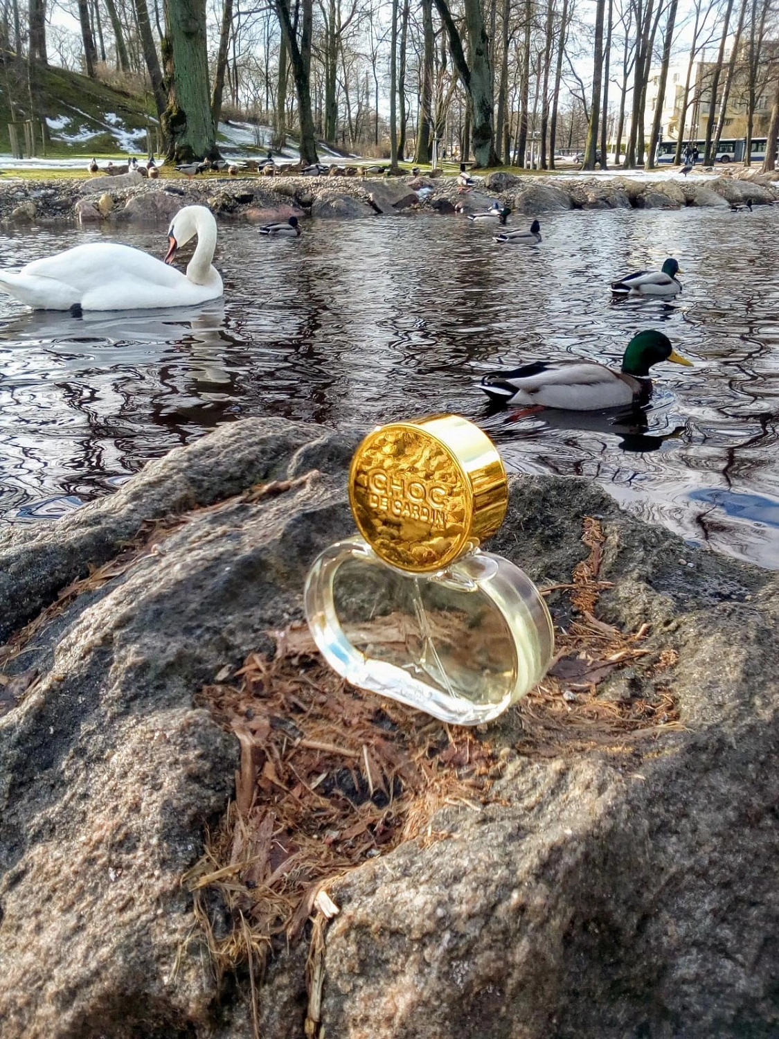 Pierre Cardin Choc de Cardin