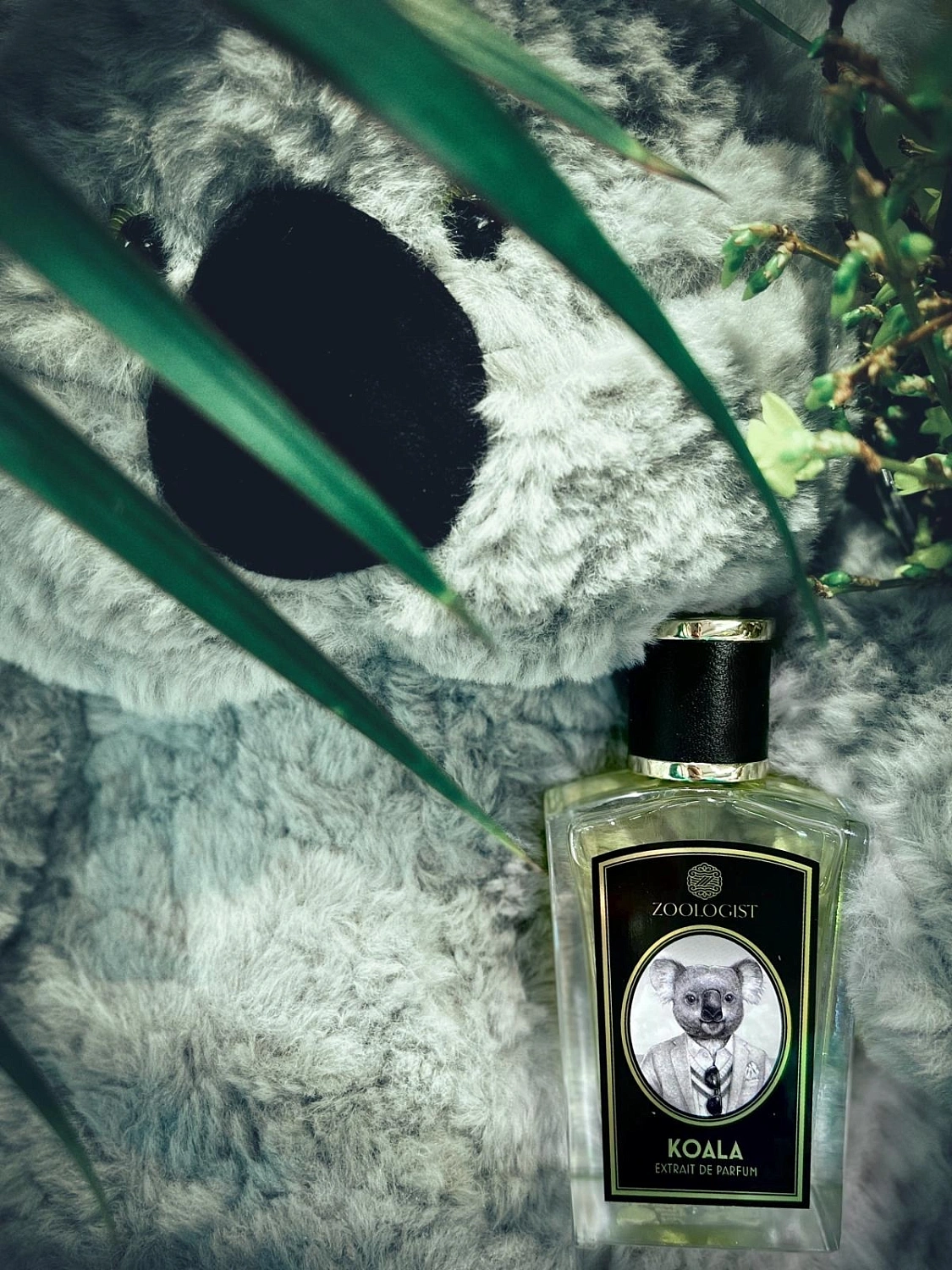 Zoologist Perfumes Koala