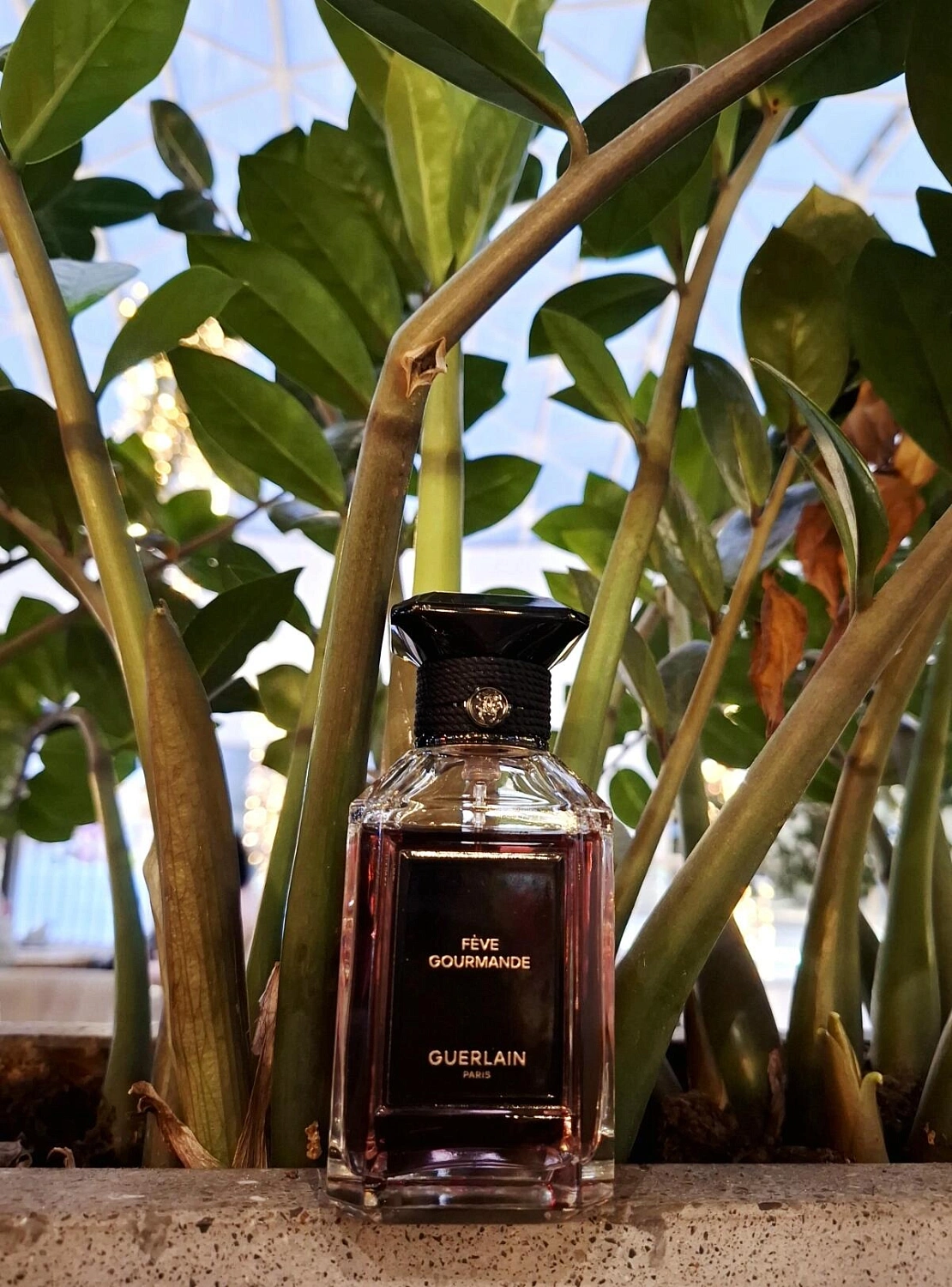 Guerlain Feve Gourmande