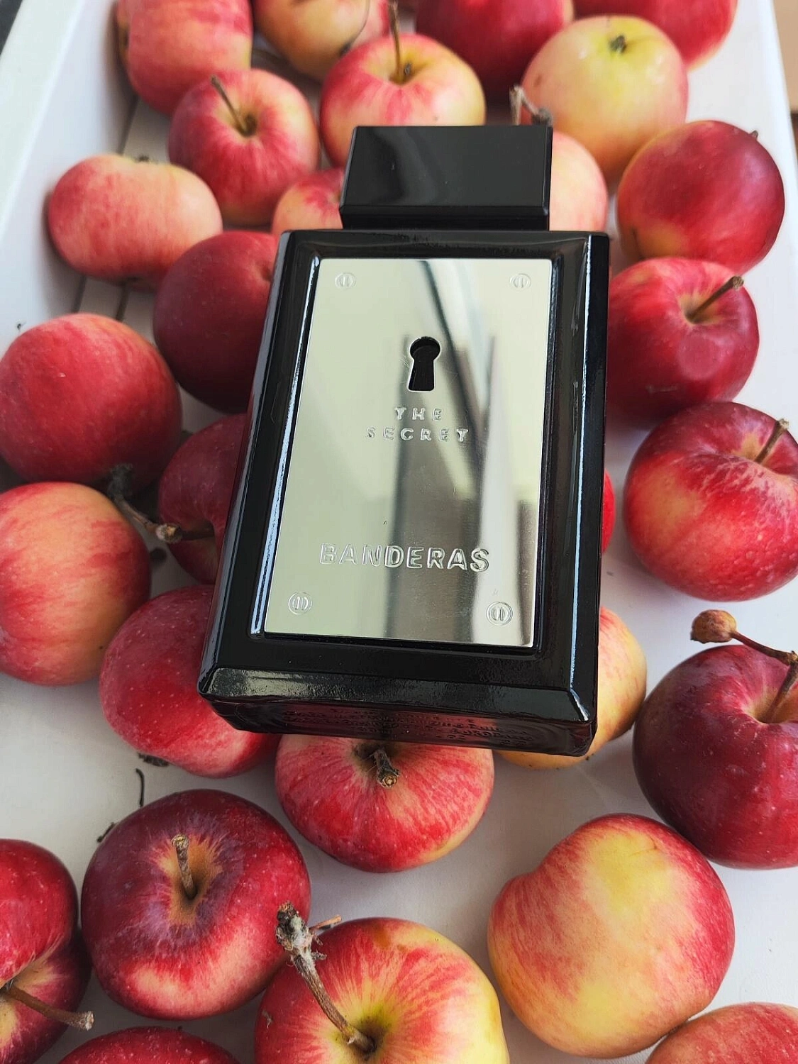 Antonio Banderas The Secret