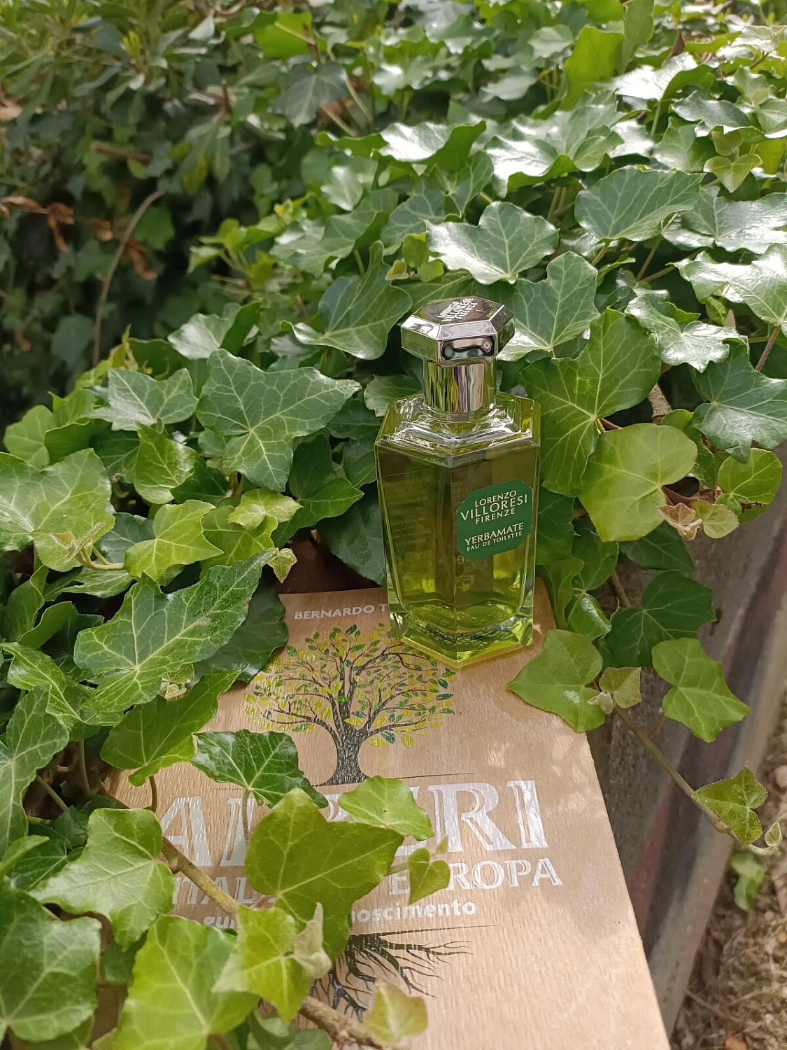 Lorenzo Villoresi Yerbamate Lorenzo Villoresi Yerbamate