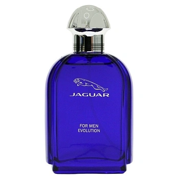 Jaguar for Men Evolution туалетная вода, 100 мл тестер Jaguar for Men Evolution туалетная вода, 100 мл тестер