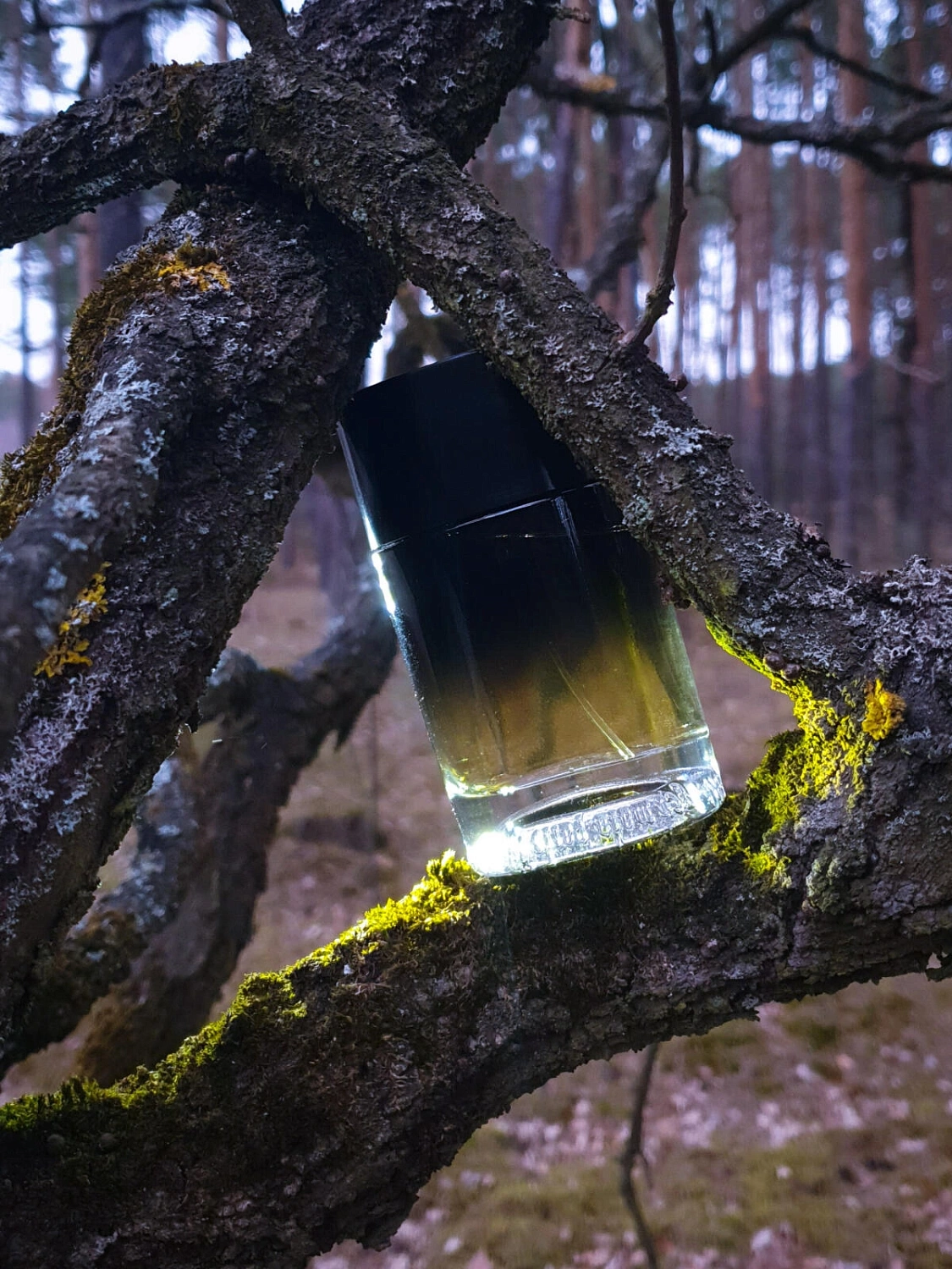 Diptyque 34 boulevard Saint Germain Eau de Parfum