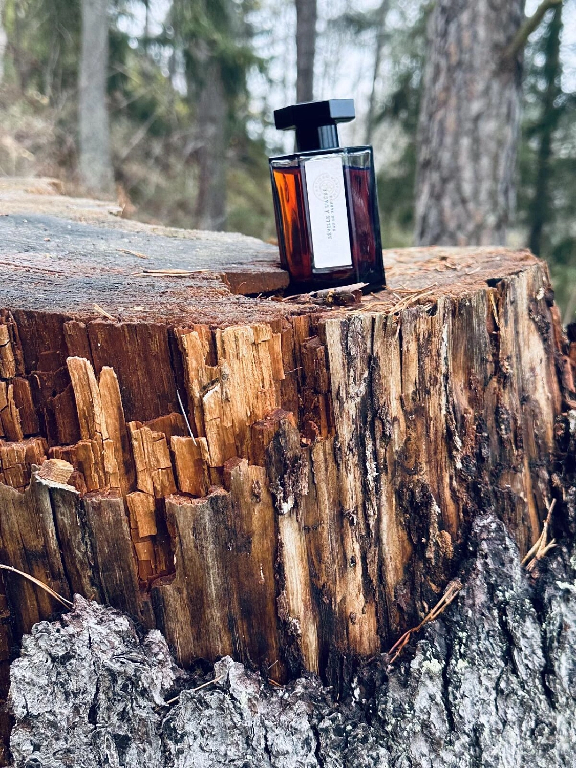 L`Artisan Parfumeur Seville a l’Aube