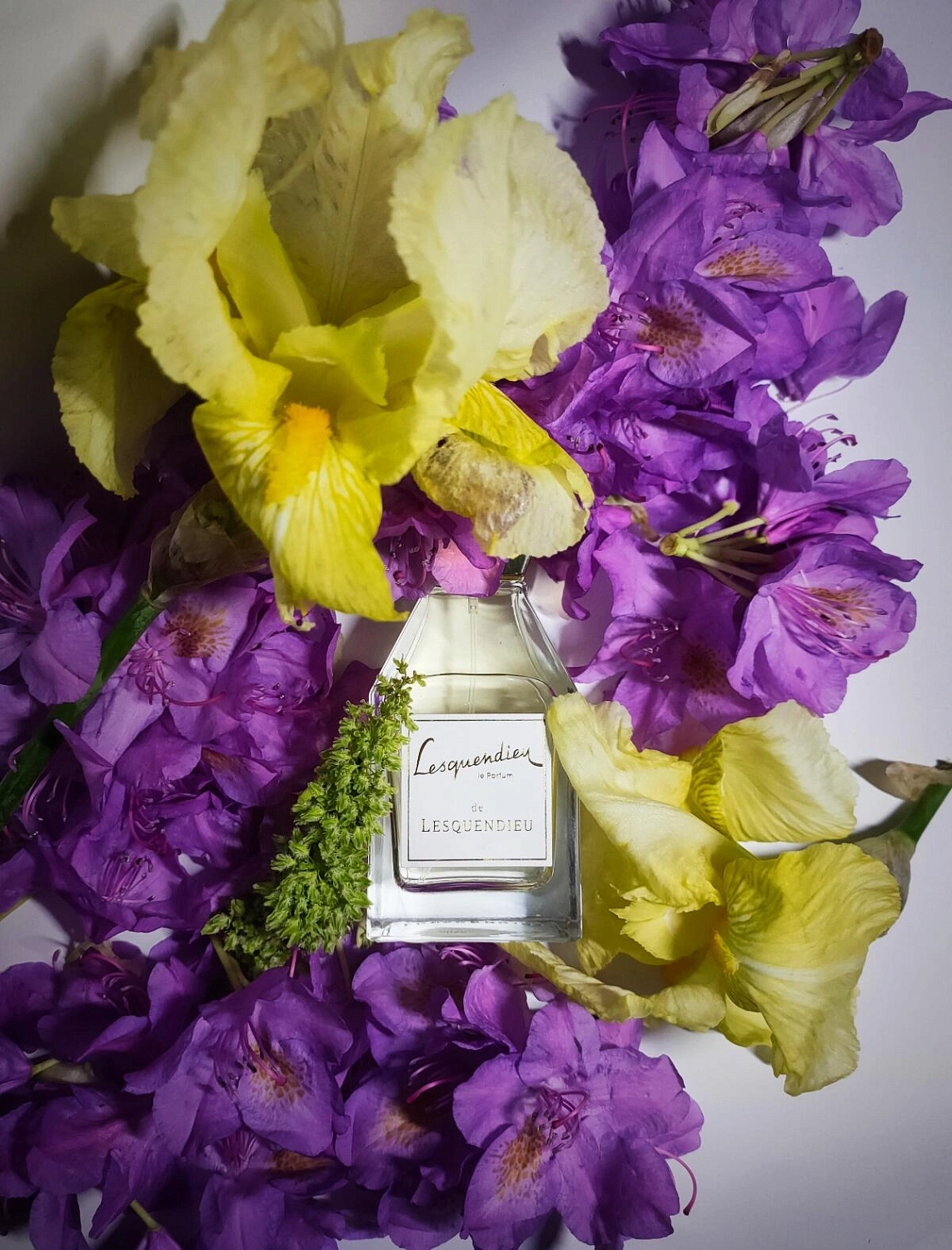 Lesquendieu Le Parfum