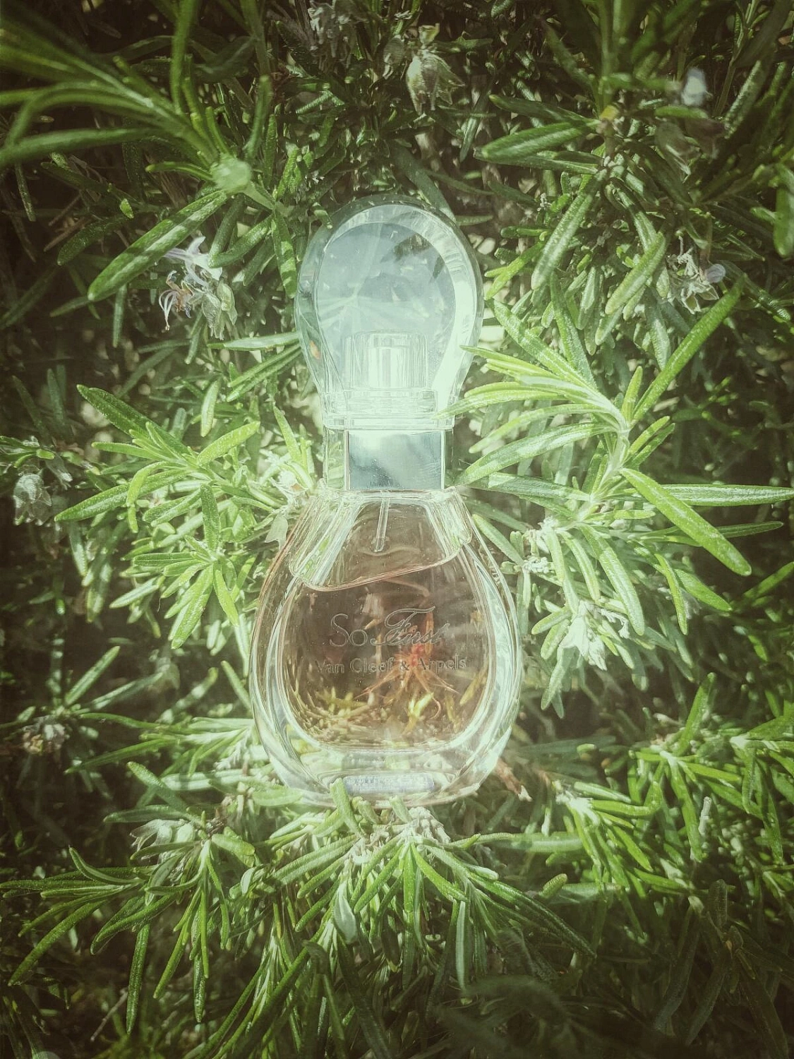 Van Cleef & Arpels So First