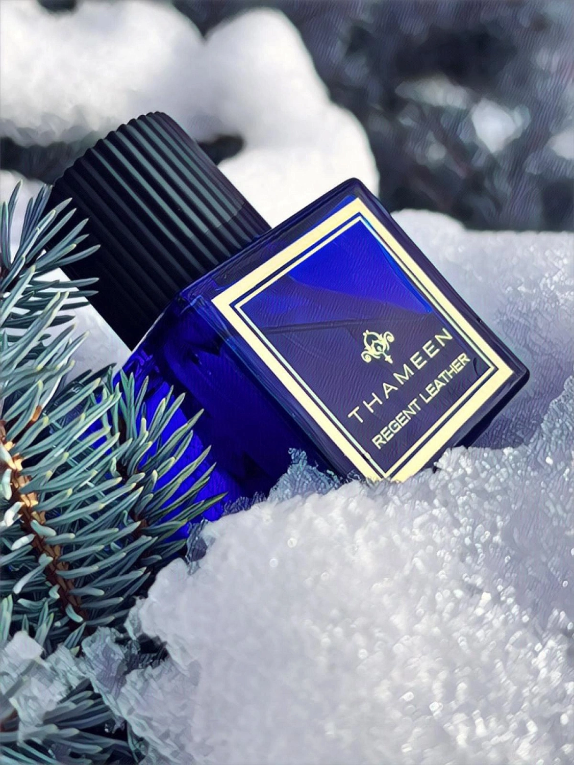 Thameen Regent Leather